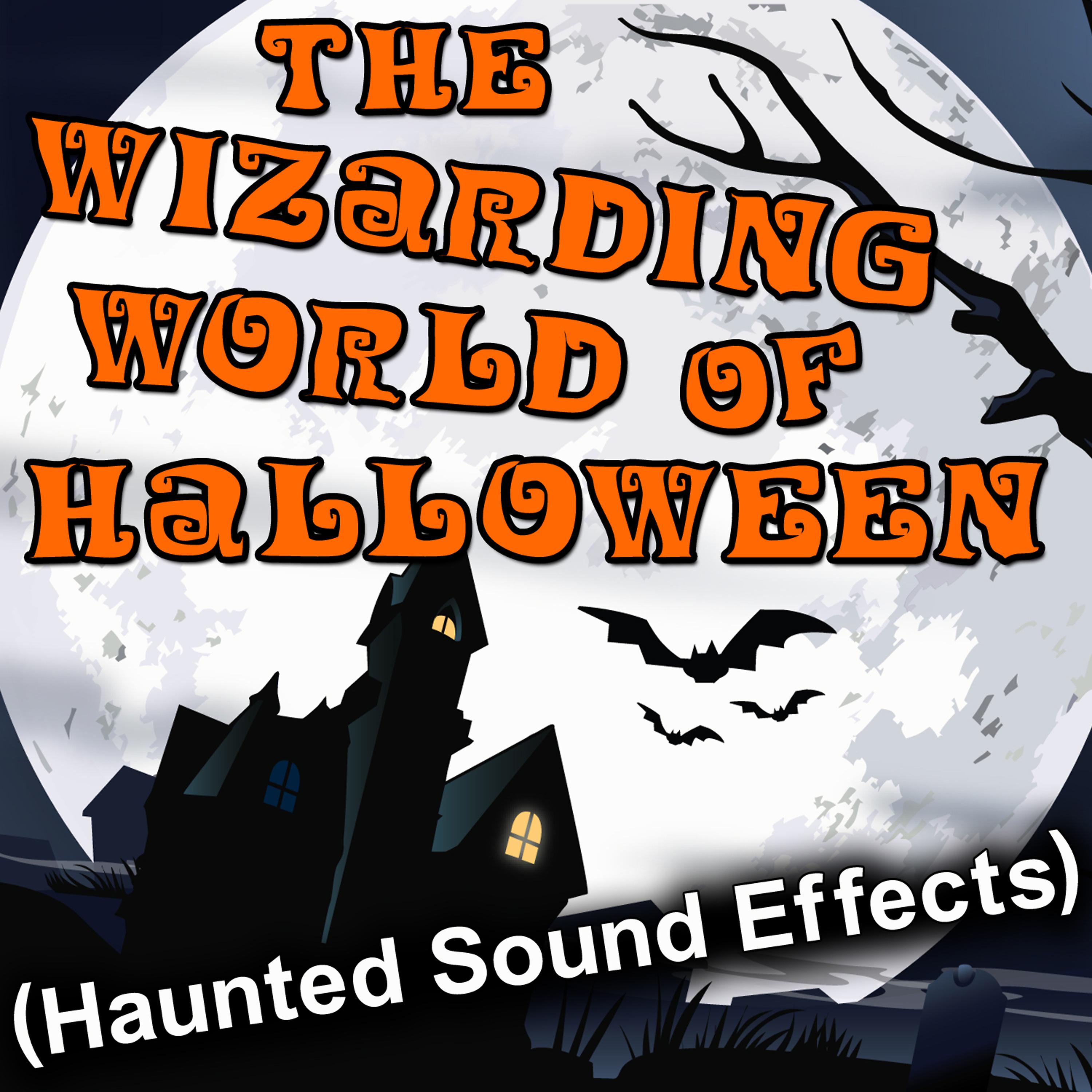 Постер альбома The Wizarding World of Halloween (Haunted Sound Effects)