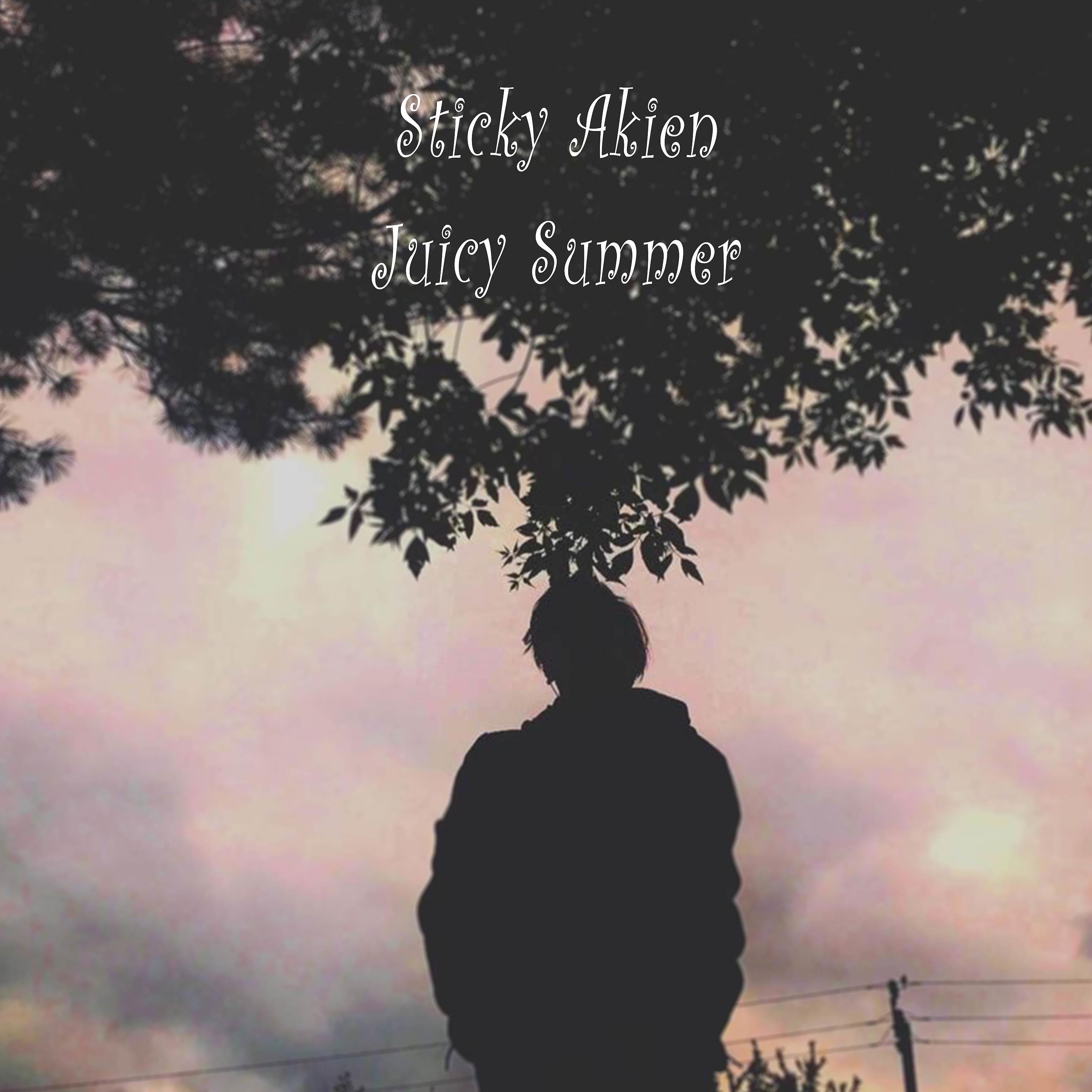 Постер альбома Juicy Summer