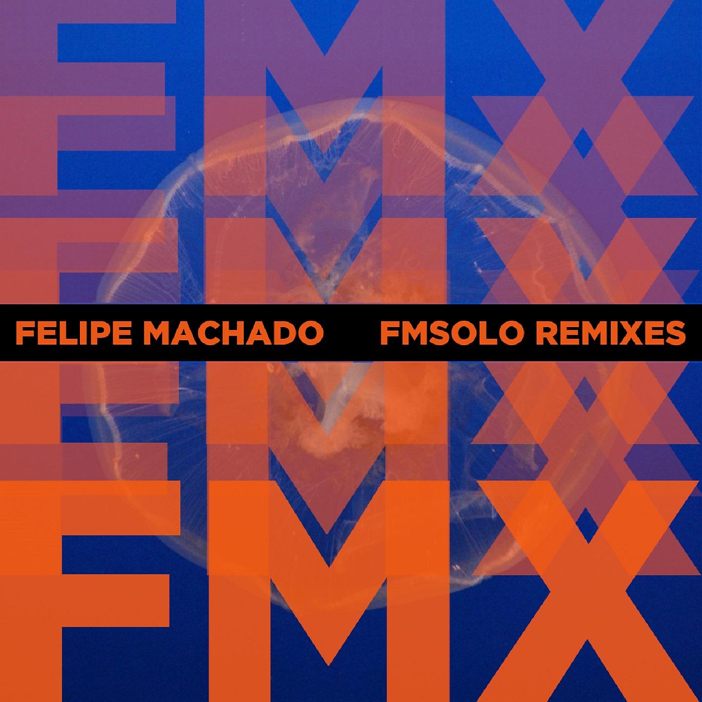 Постер альбома Fmx: Fmsolo Remixes