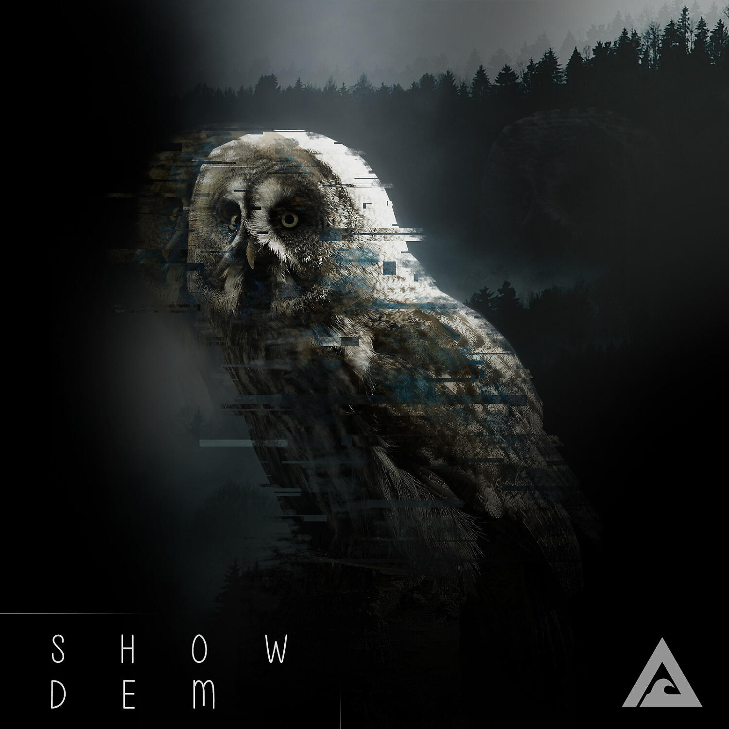 PartyWave - Show Dem