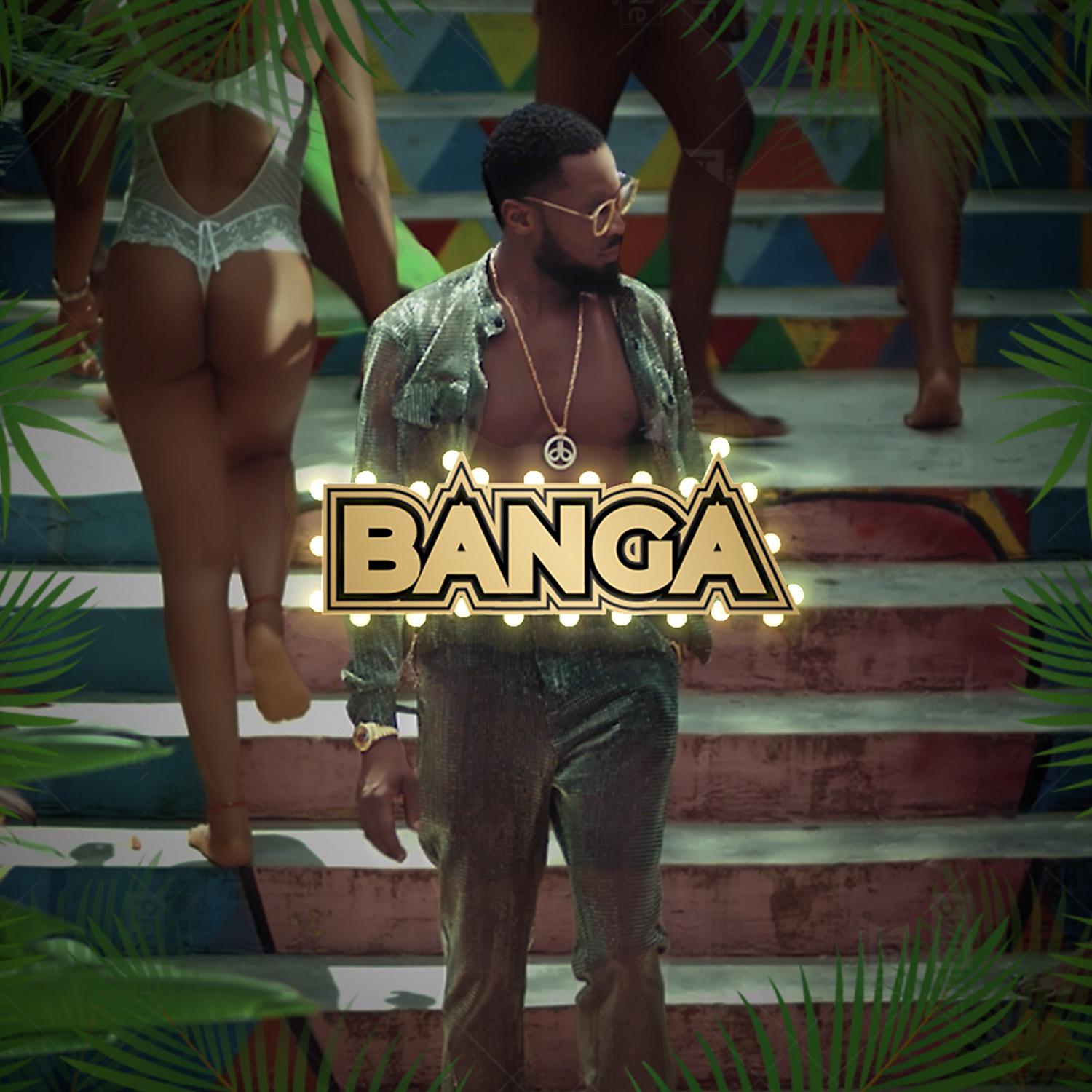 Постер альбома Banga
