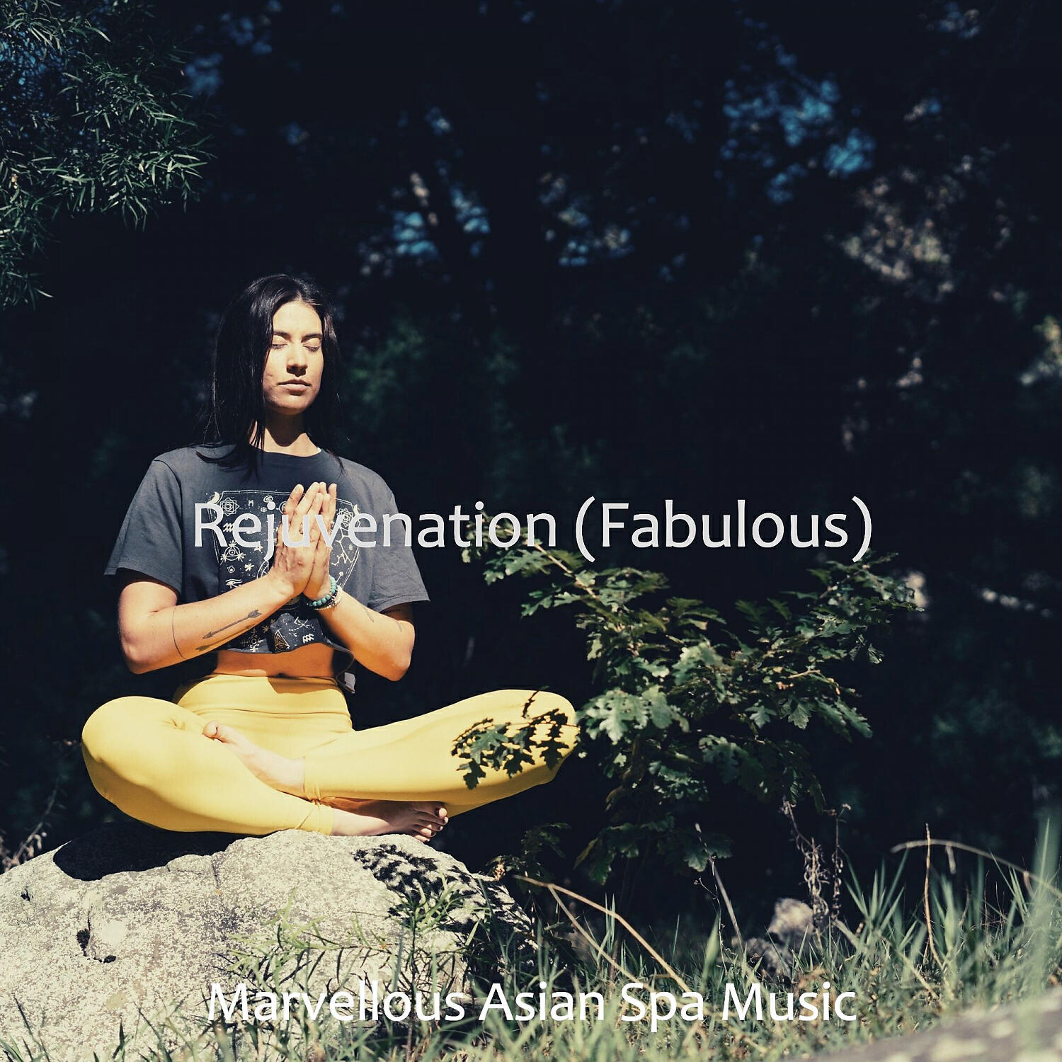 Marvellous Asian Spa Music - Laid-back (Day Spas)