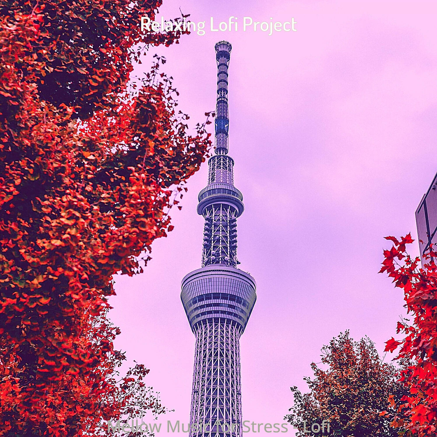 Relaxing Lofi Project - Joyful Lofi Chill-hop - Vibe for Chilling Out