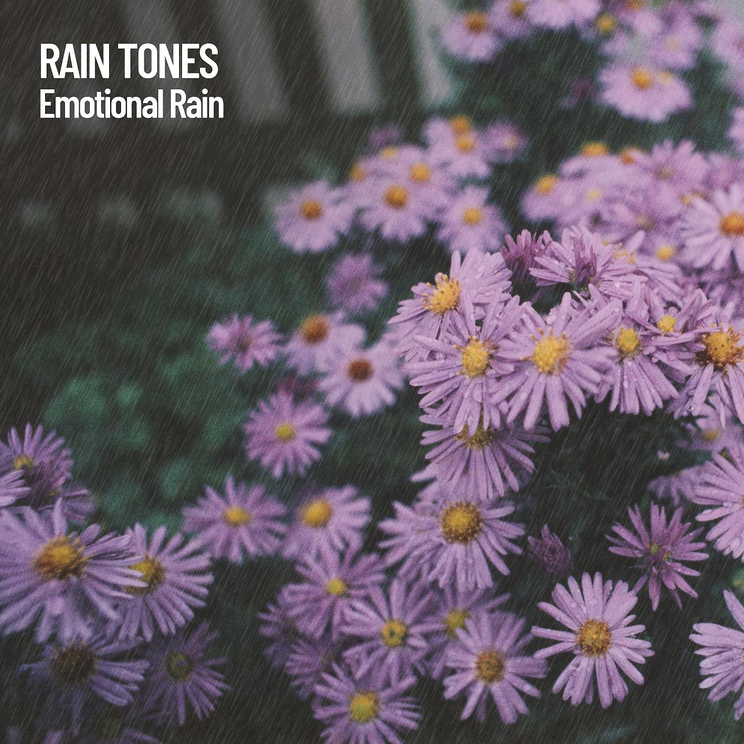 Постер альбома Rain Tones: Emotional Rain