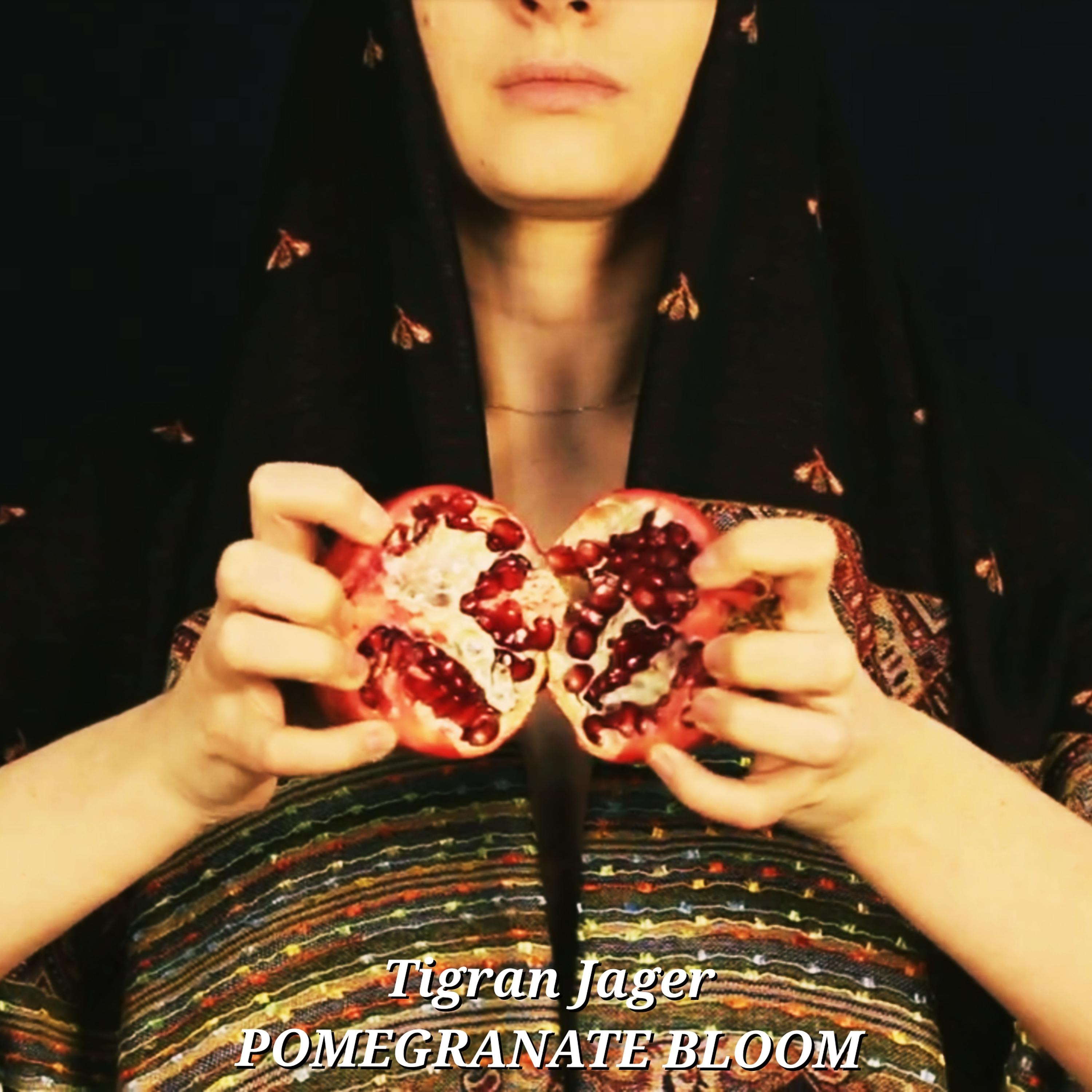 Постер альбома Pomegranate Bloom
