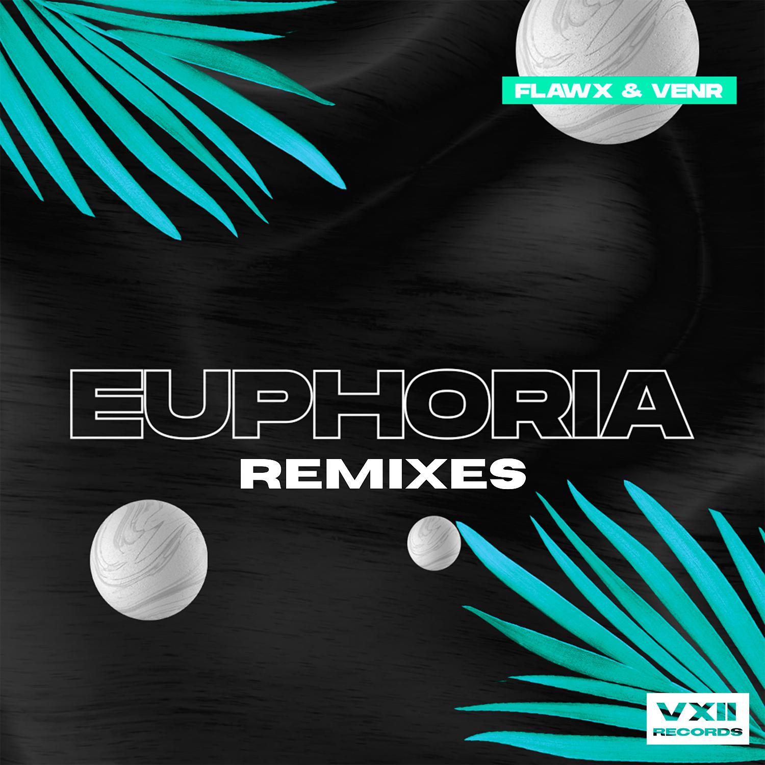 Постер альбома Euphoria (Remixes)