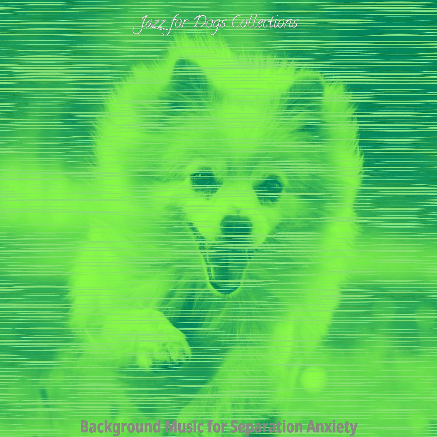 Jazz for Dogs Collections - Romantic Music for Walking Your Dog
