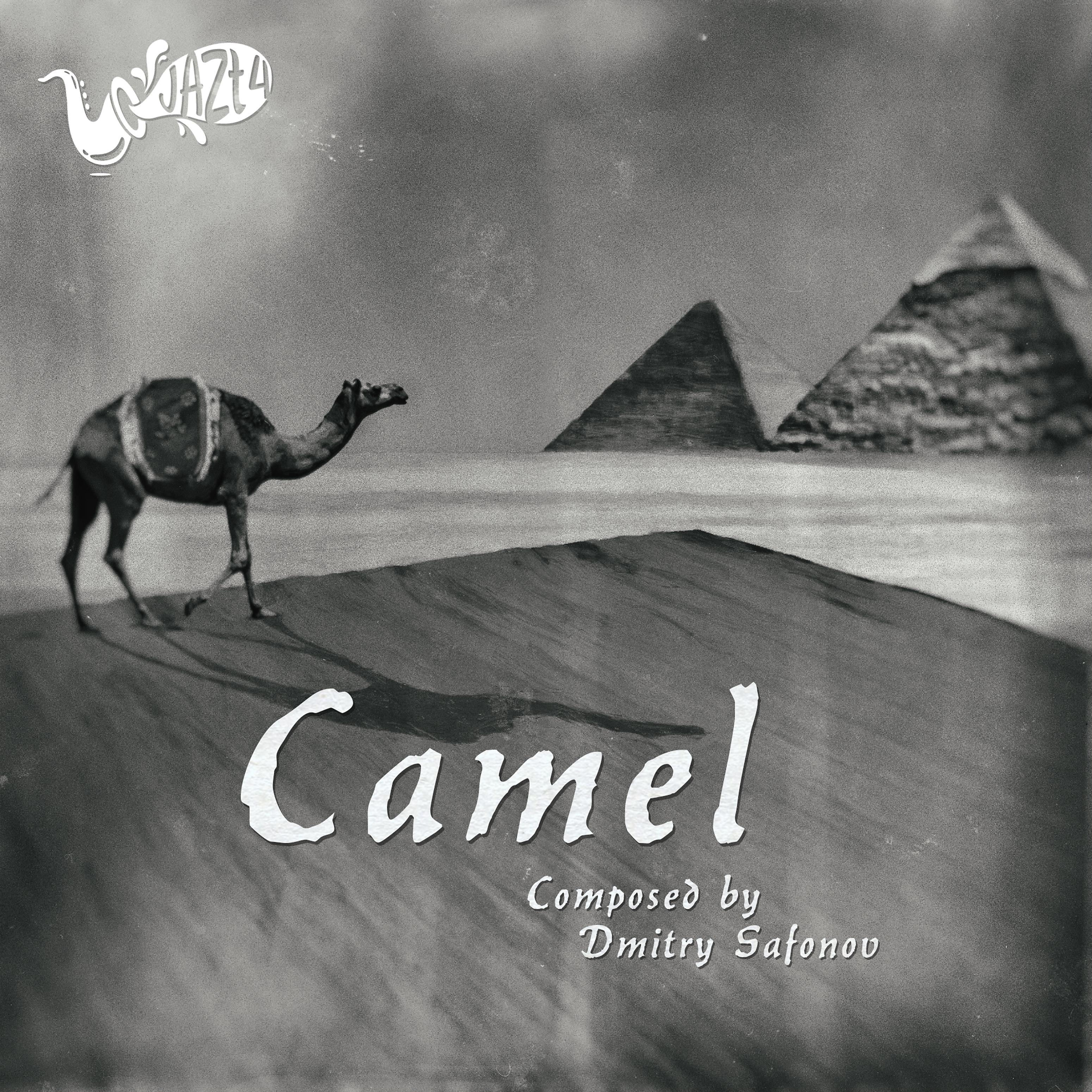 Постер альбома Camel