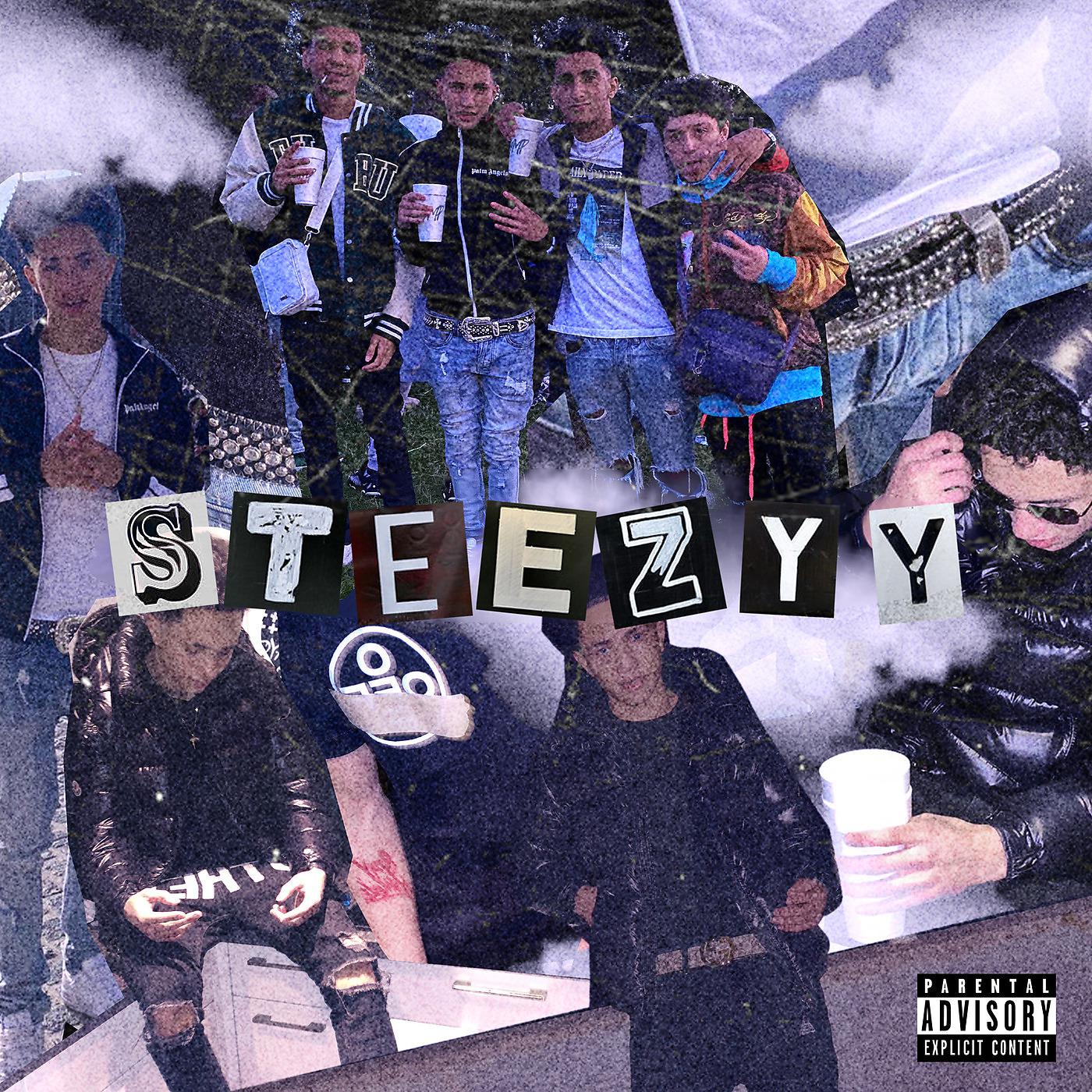 Постер альбома Steezyy
