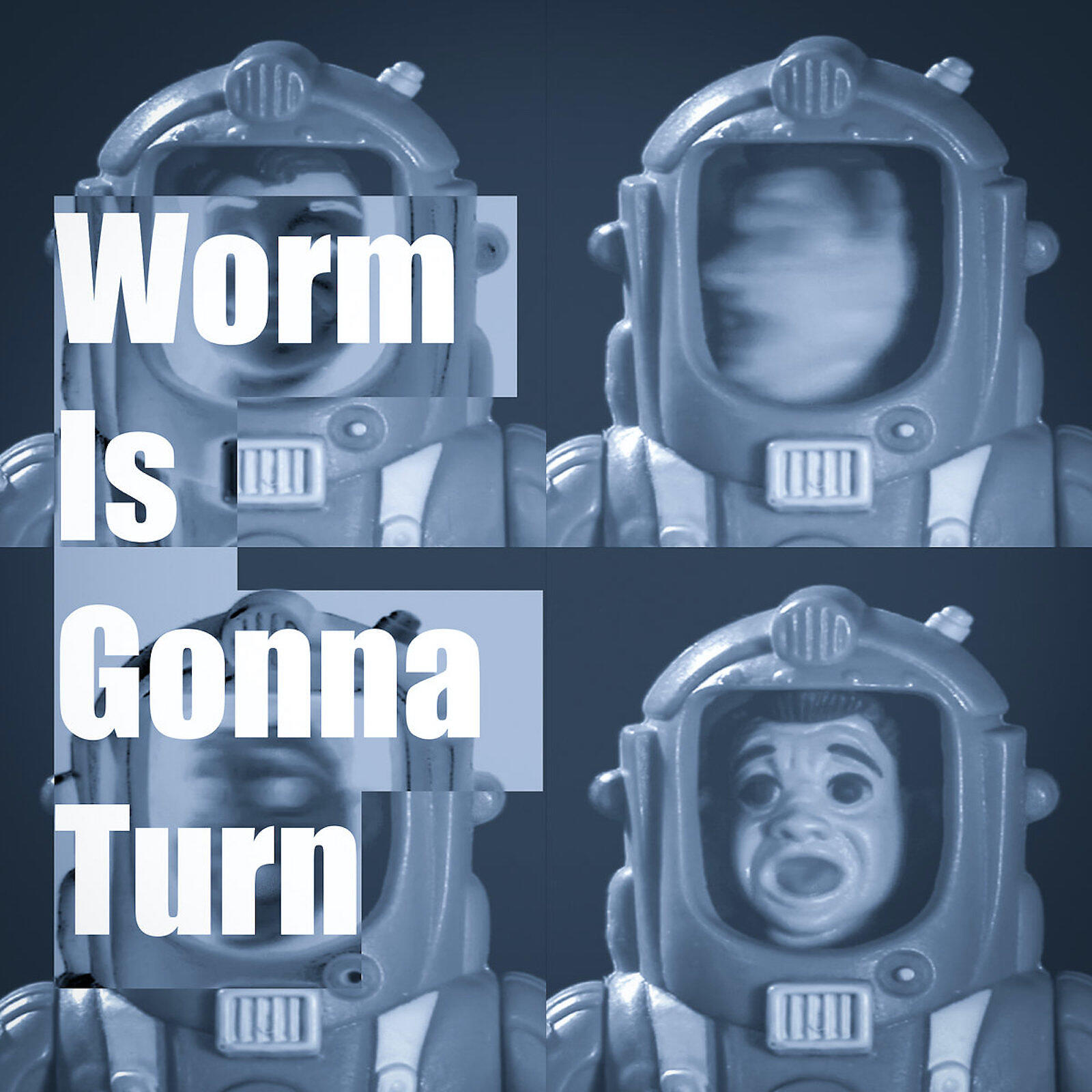 Rare Americans - Worm Is Gonna Turn