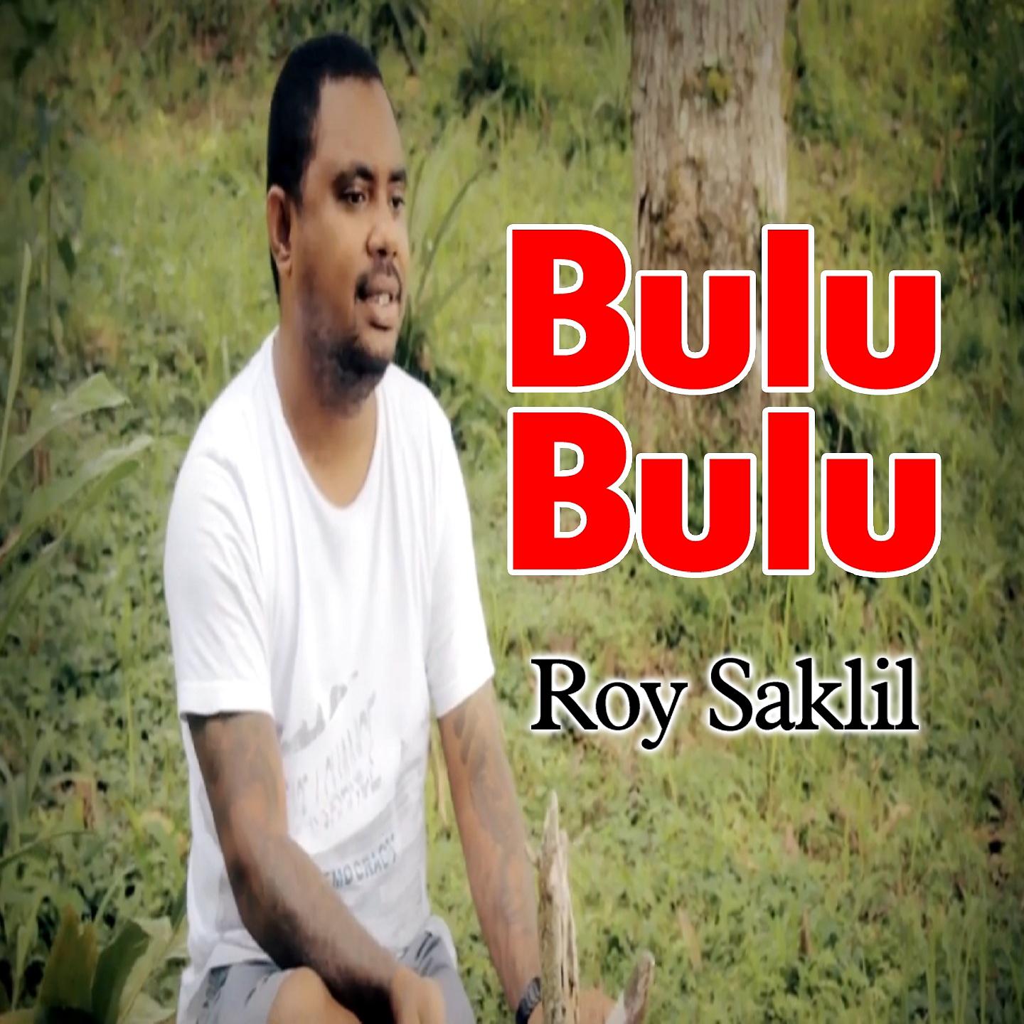 Постер альбома Bulu Bulu