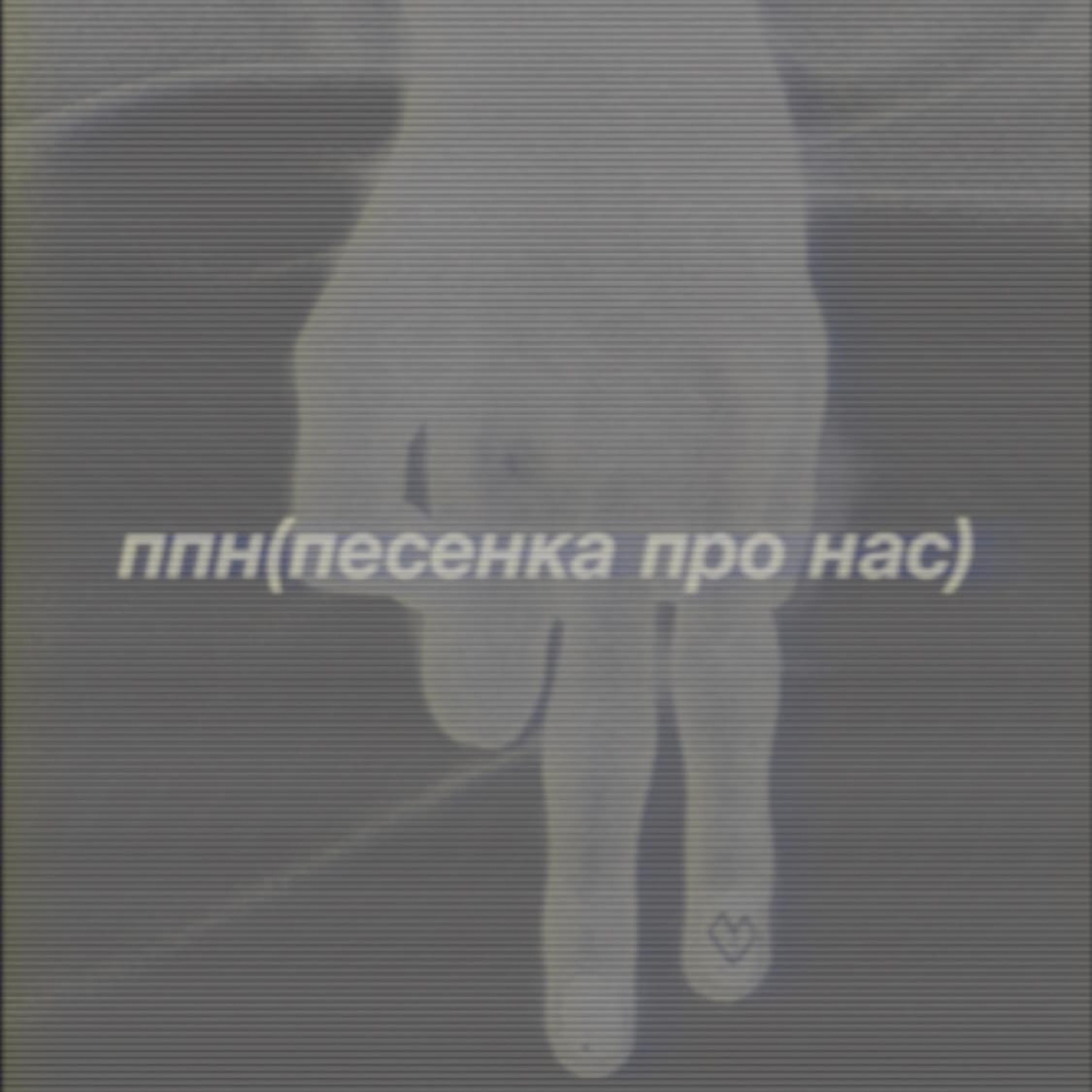 Постер альбома Ппн (Песенка про нас)