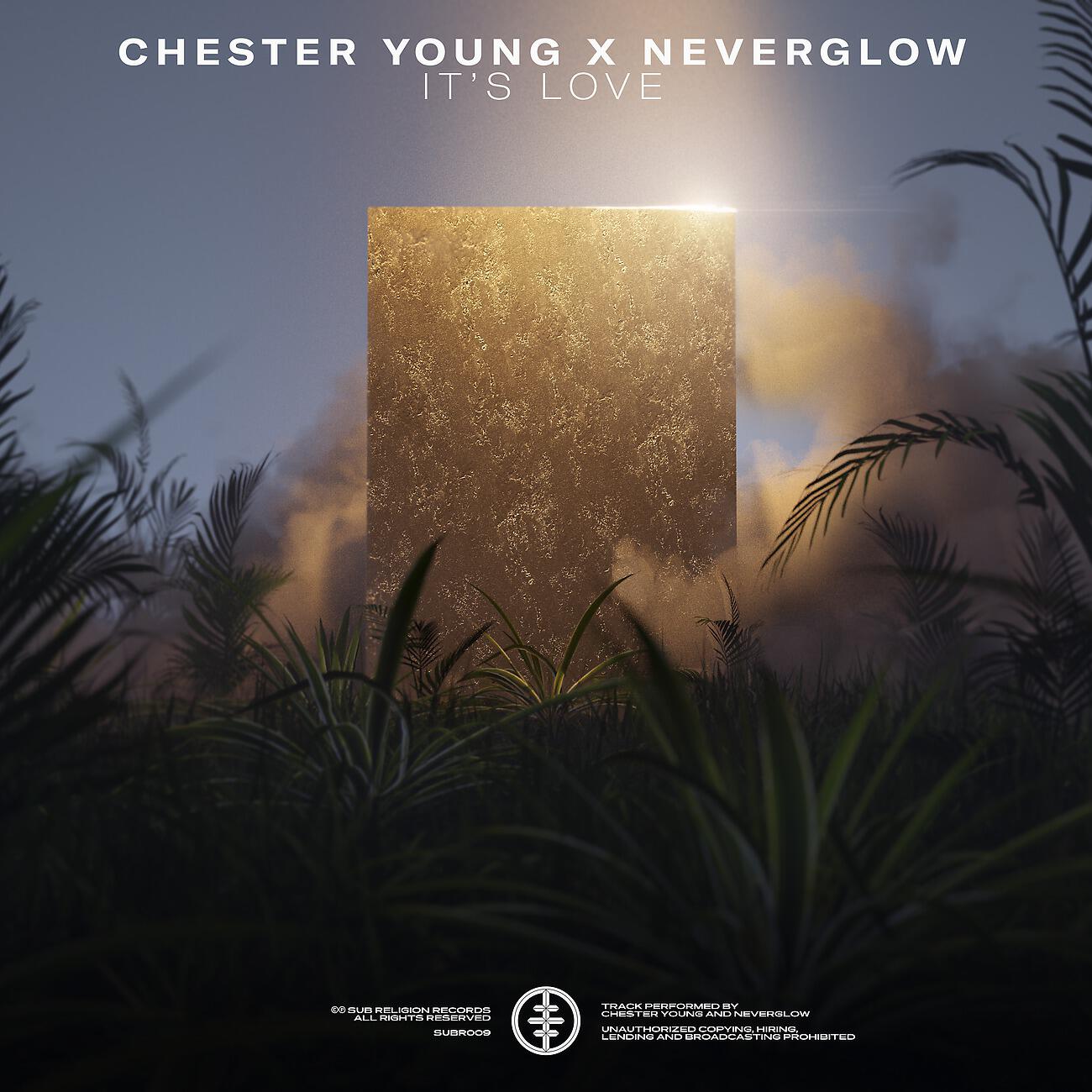 Chester Young - It's Love