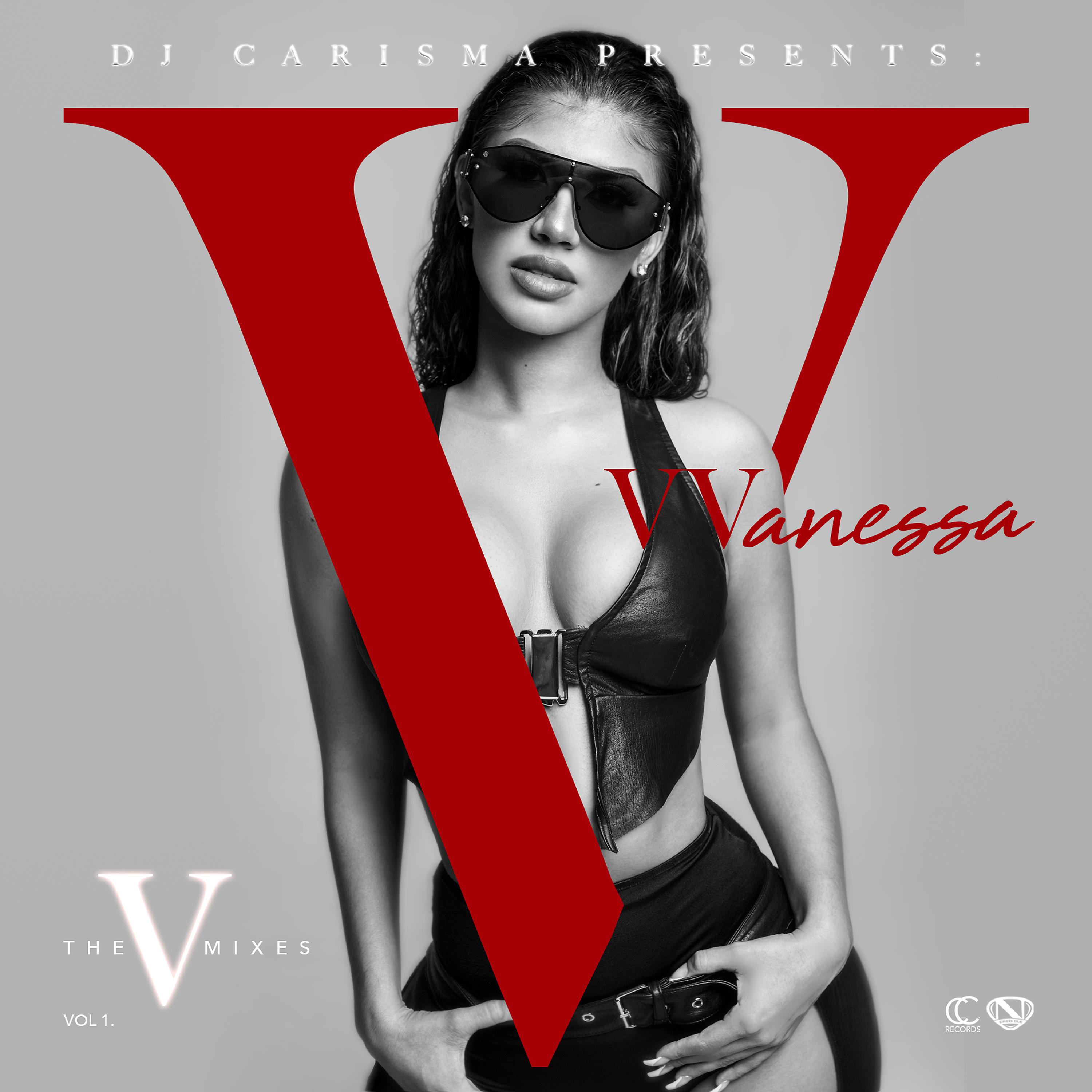 Постер альбома The V Mixes