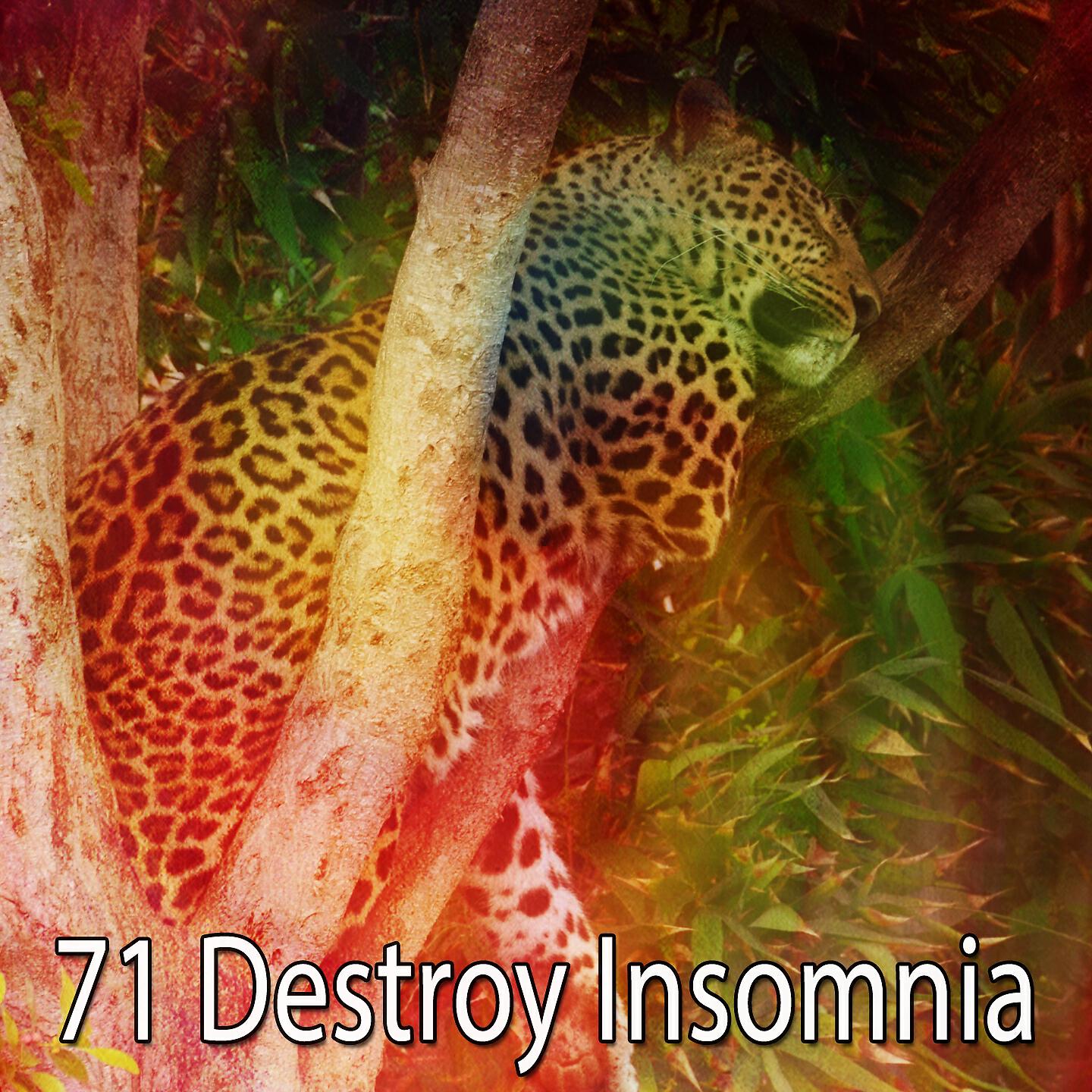 Relax Musica Zen Club - Dream Journal