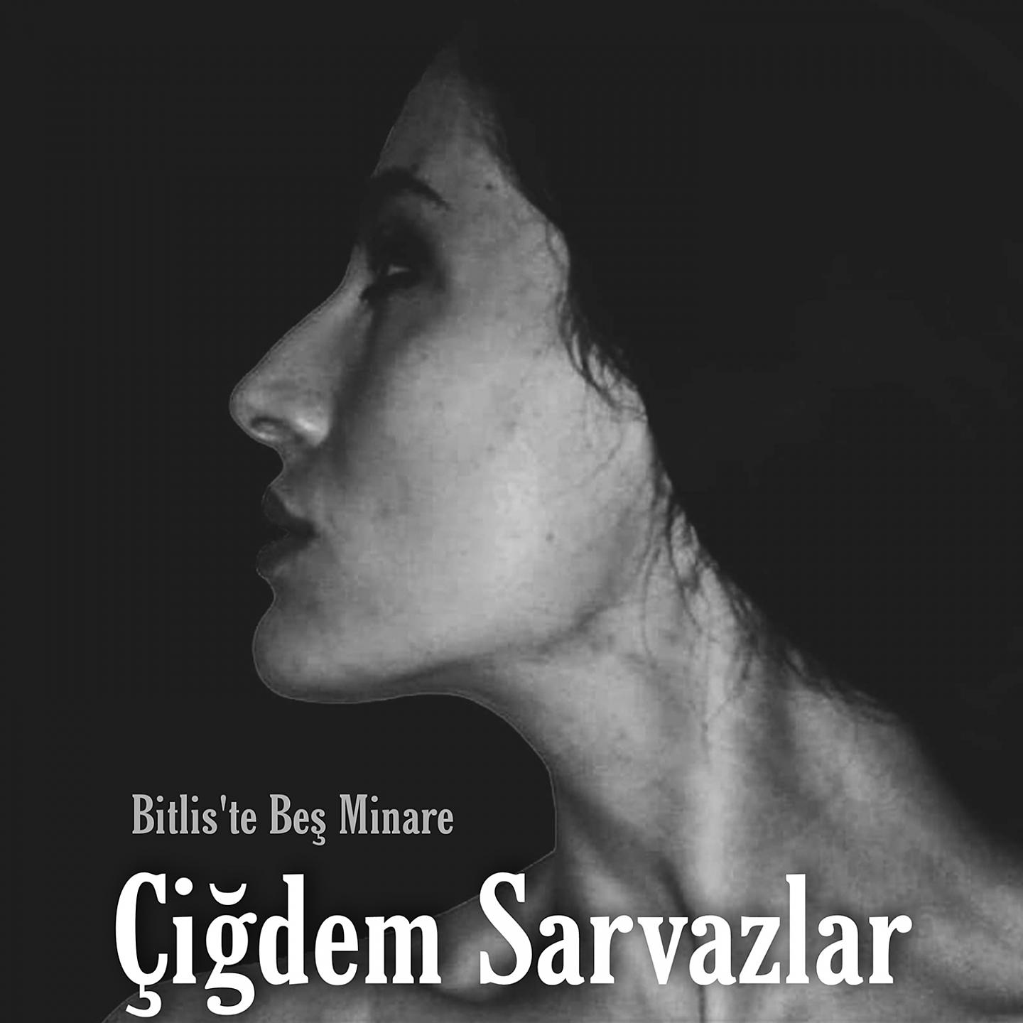 Постер альбома Bitlis'te Beş Minare