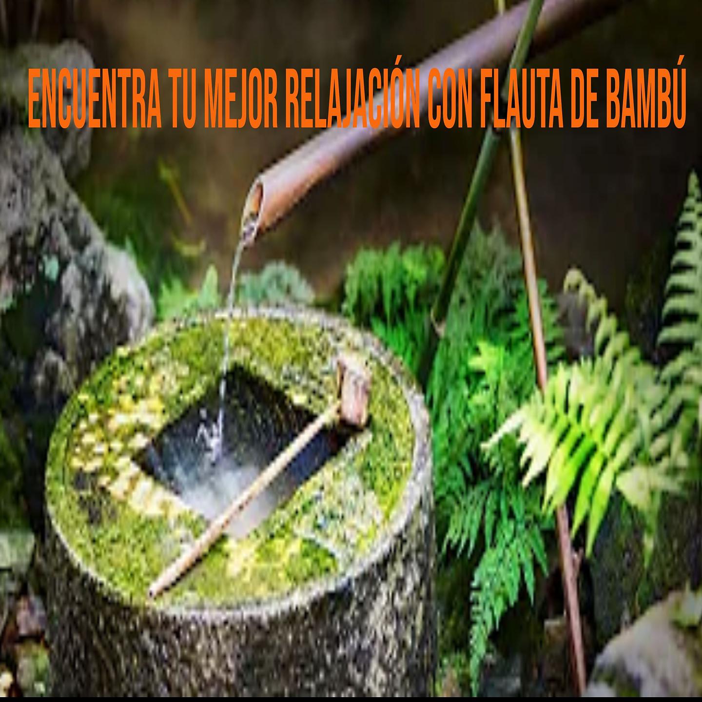 Постер альбома Encuentra Tu Mejor Relajación Con Flauta De Bambú