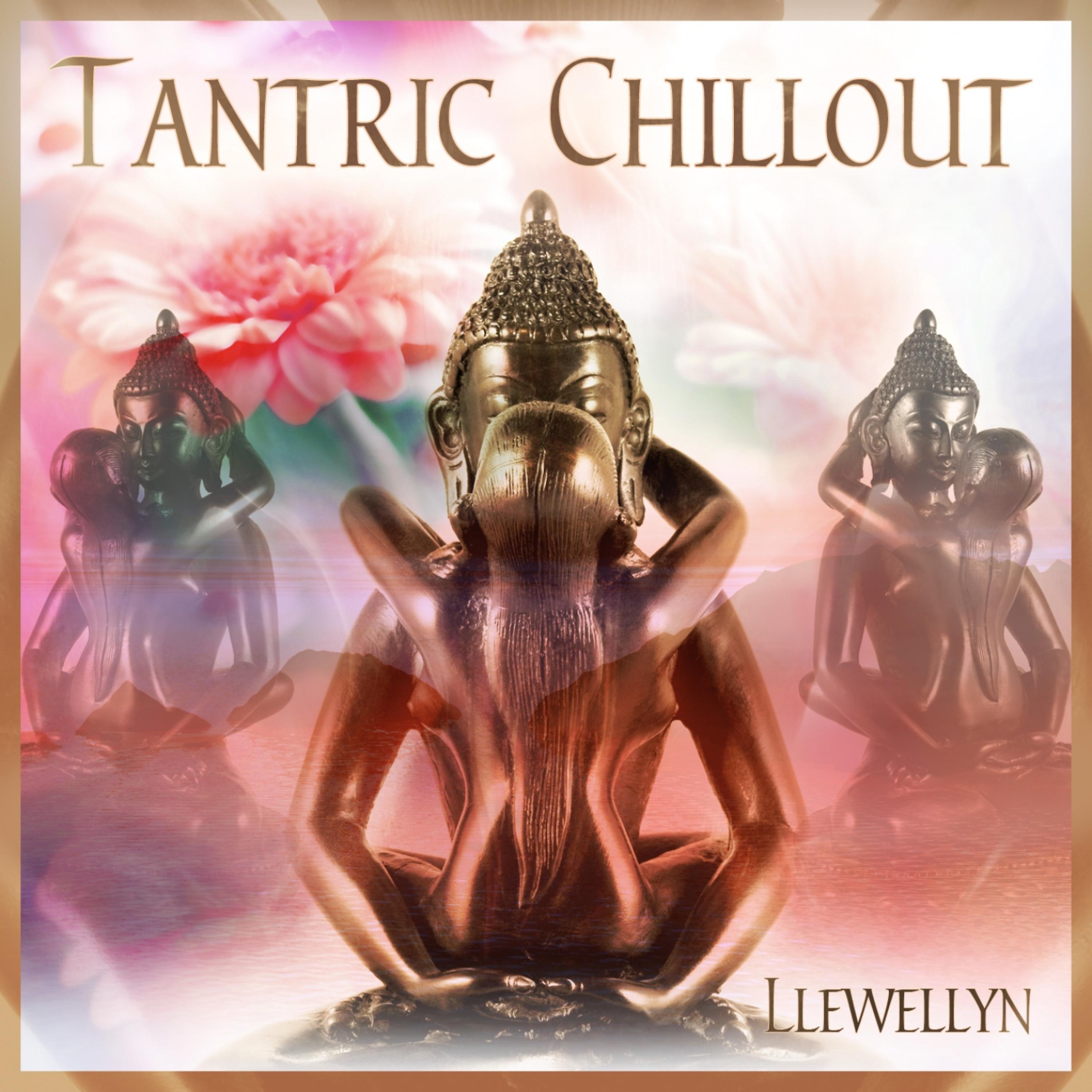 Постер альбома Tantric Chillout