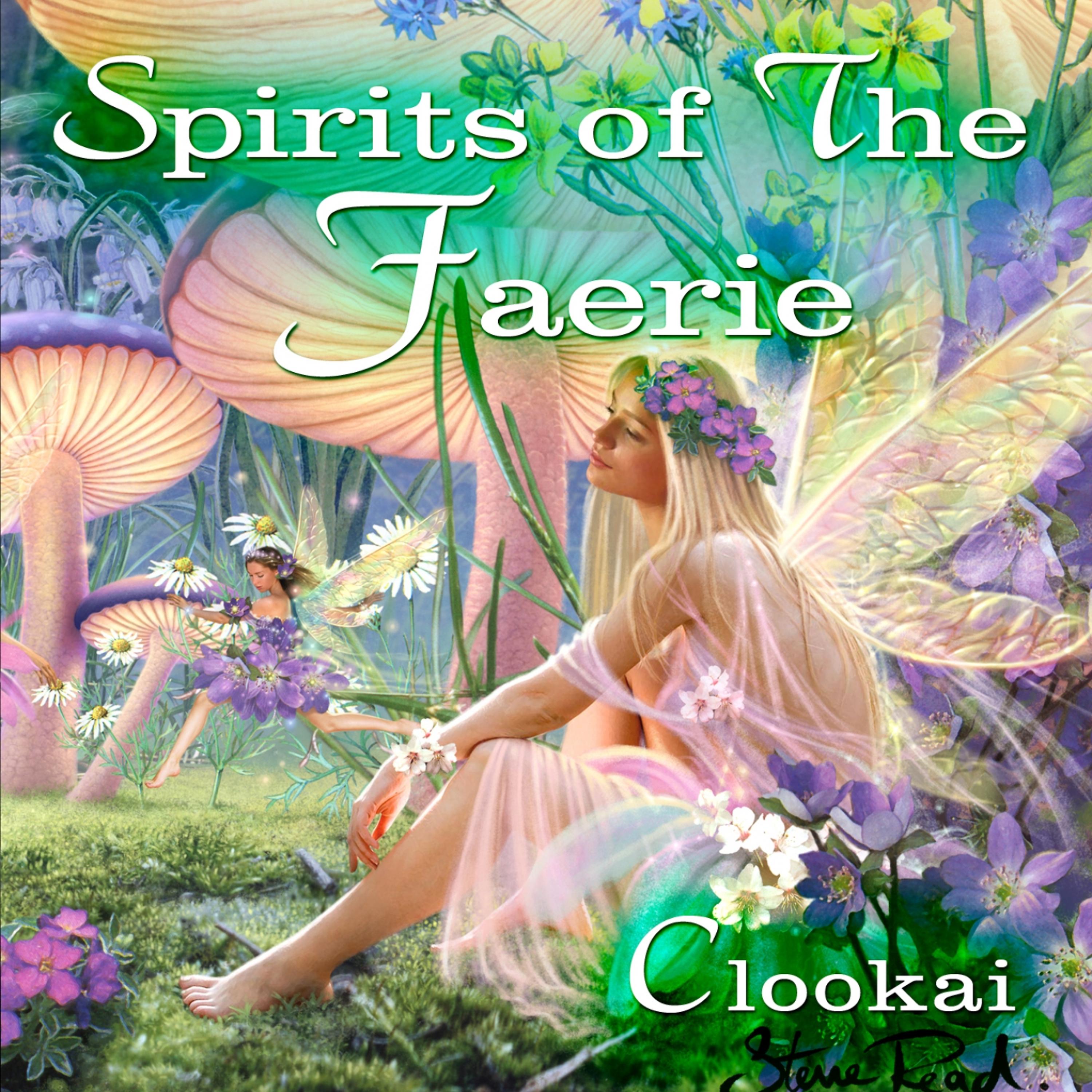 Постер альбома Spirits of the Faerie