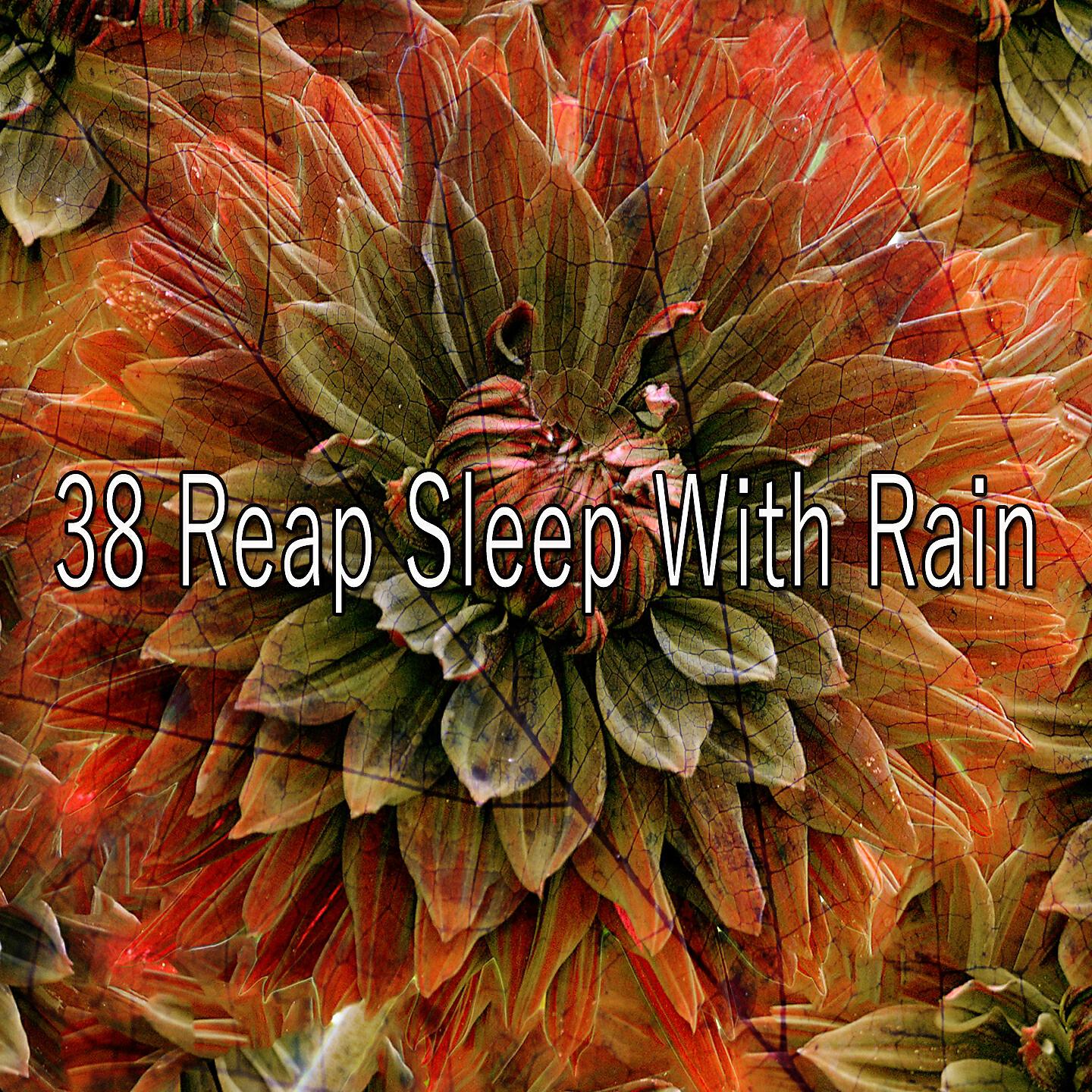 The Rain Library - Thors Awakening