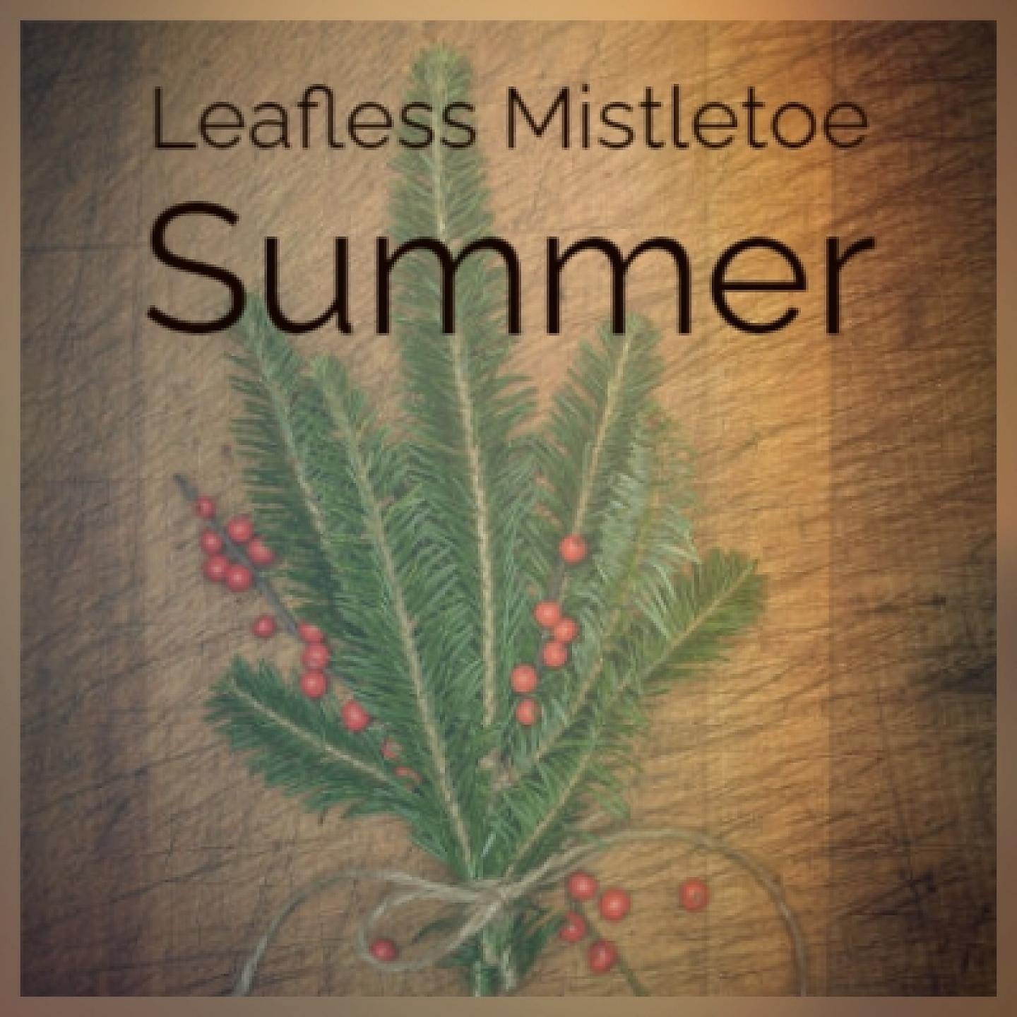 Постер альбома Leafless Mistletoe Summer