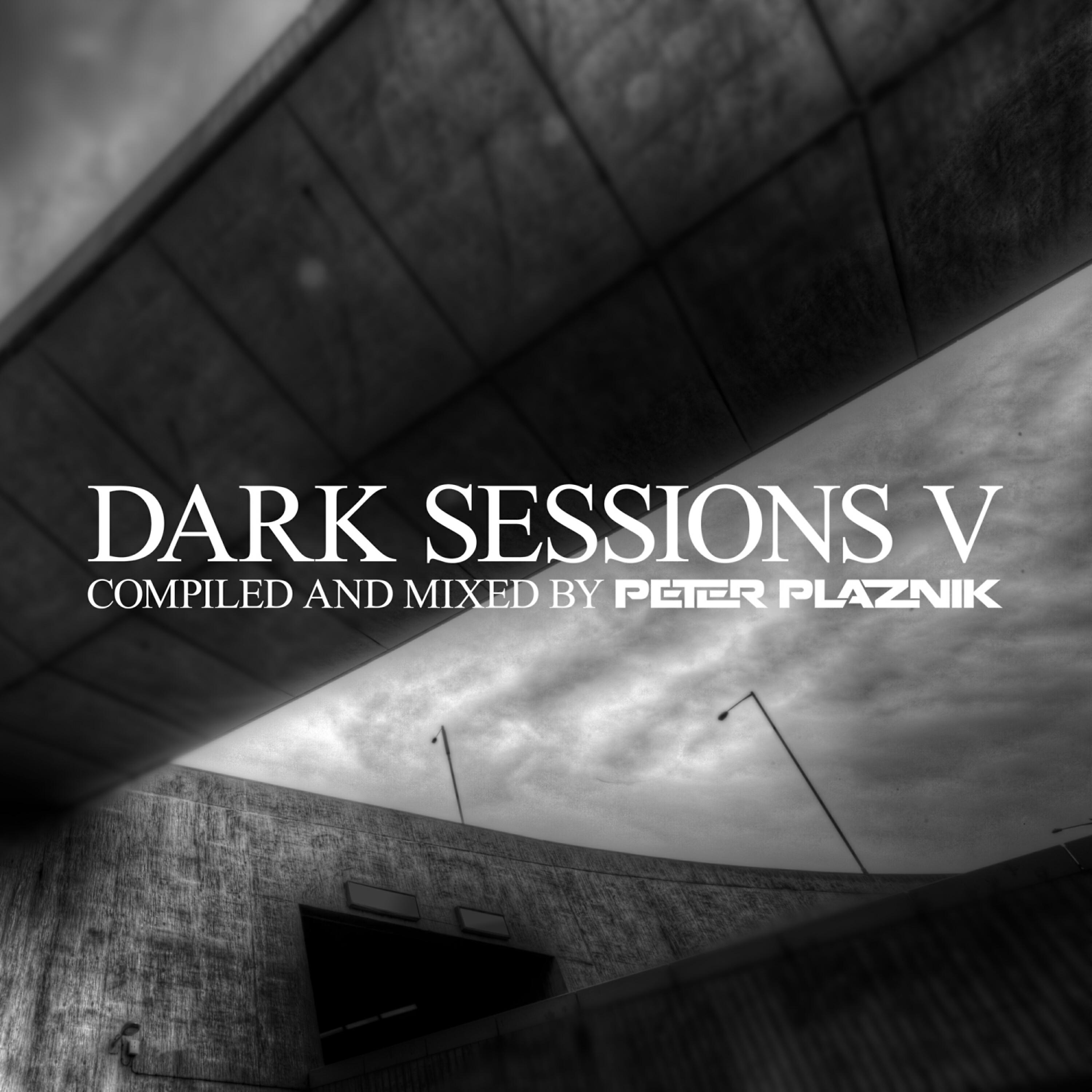 Peter Plaznik - Raw Contrast (Brian Flinn Remix)