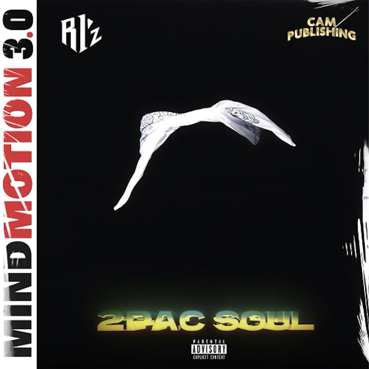 Постер альбома 2 Pac Soul (feat. Mic Angelo)