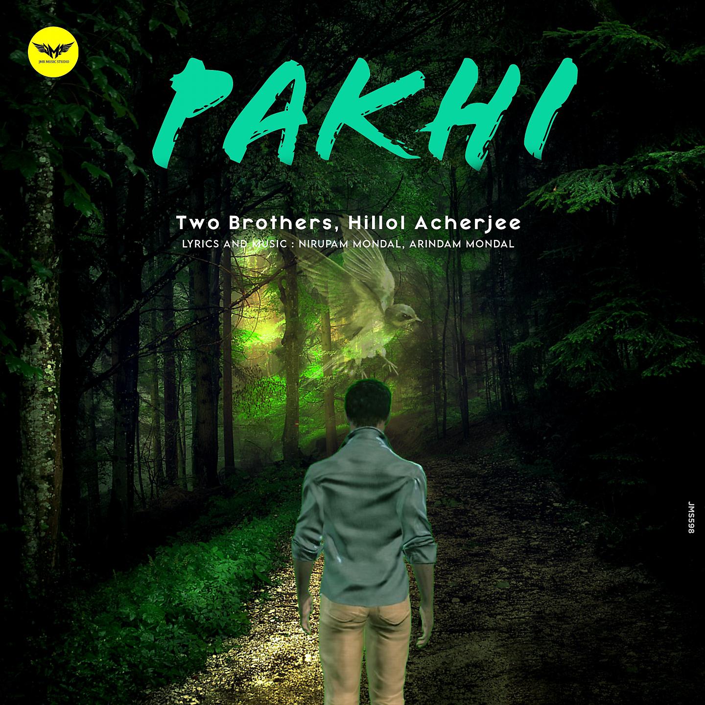 Постер альбома Pakhi