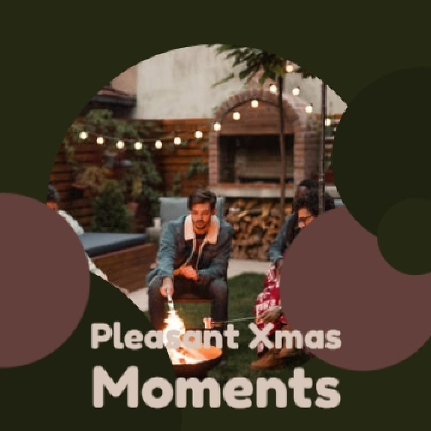 Постер альбома Pleasant Xmas Moments