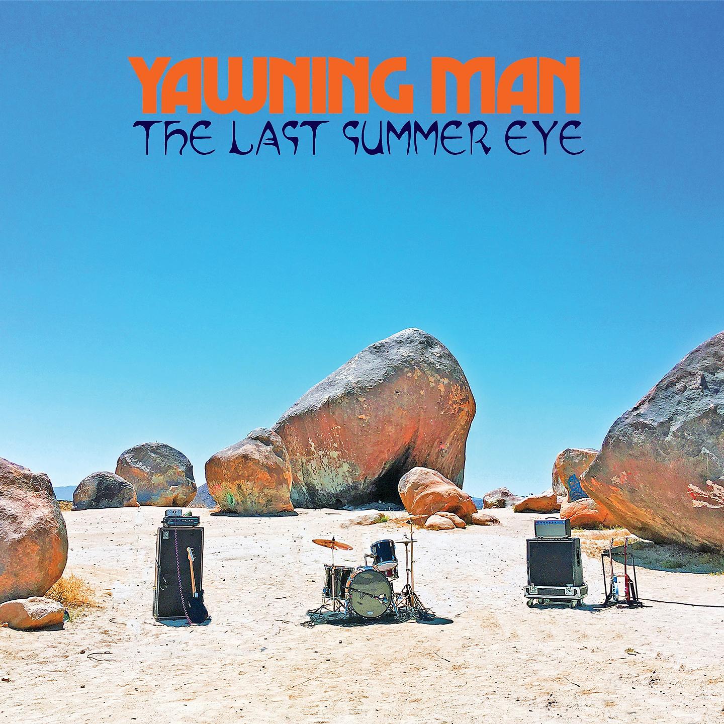 Постер альбома The Last Summer Eye