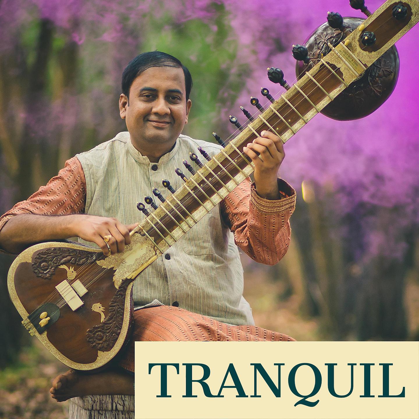 Постер альбома Tranquil - Indian Classical Fusion