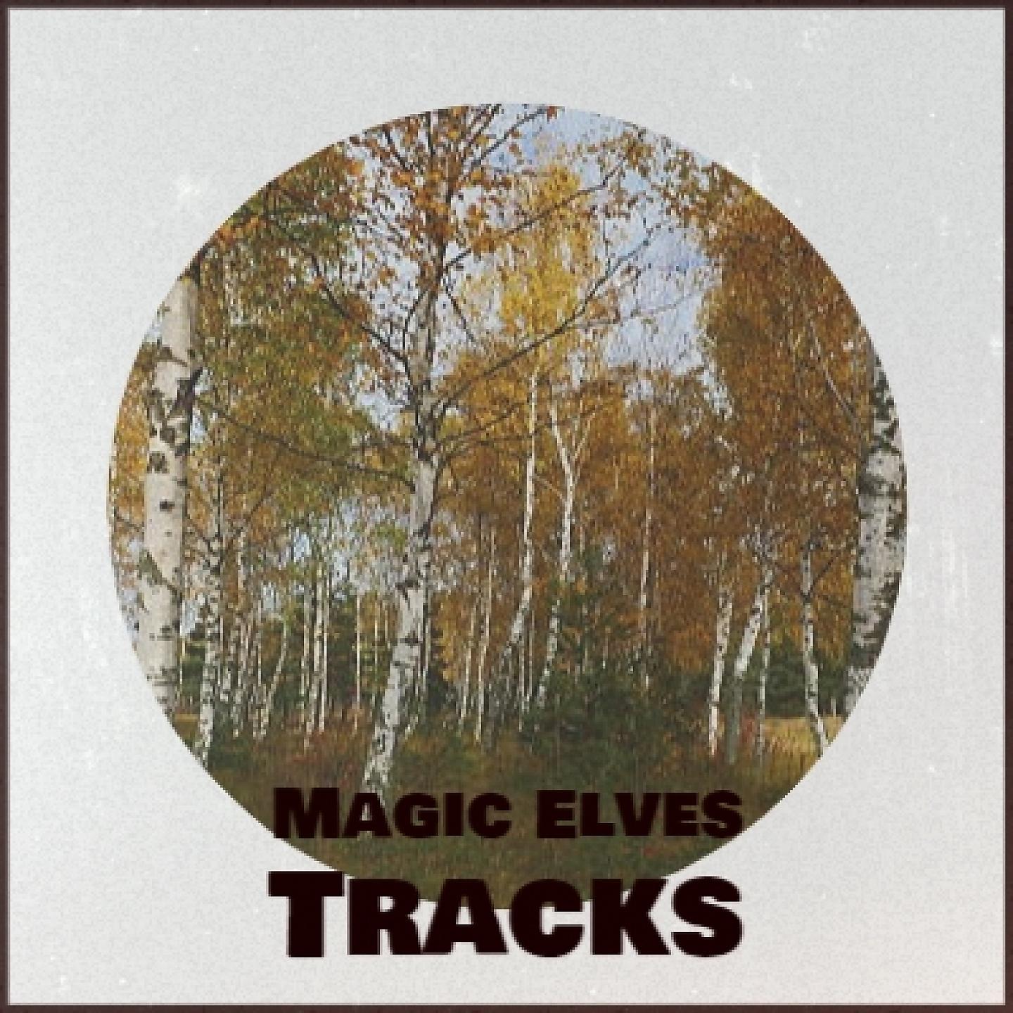 Постер альбома Magic Elves Tracks