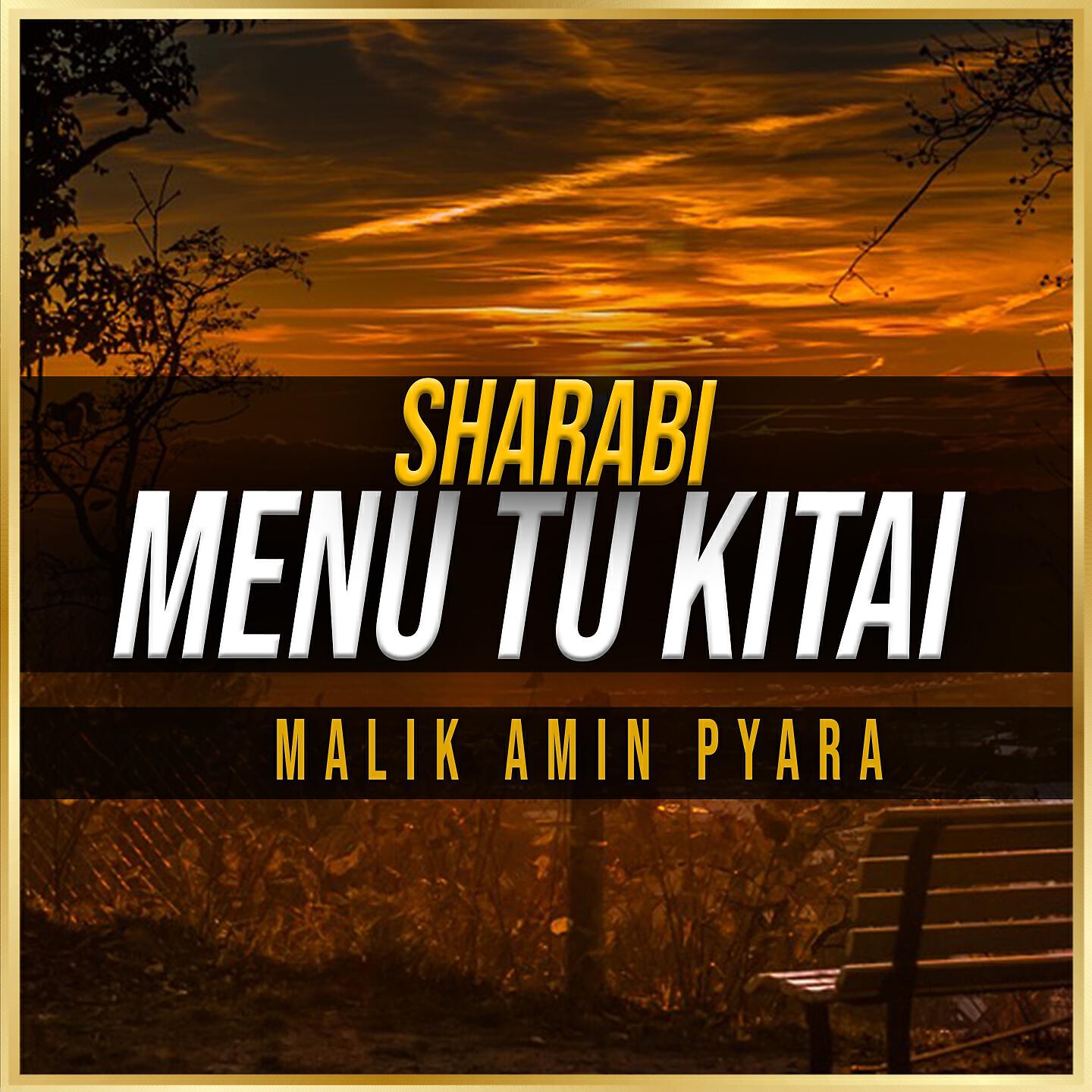 Malik Amin Pyara - Sharabi Menu Tu Kitai