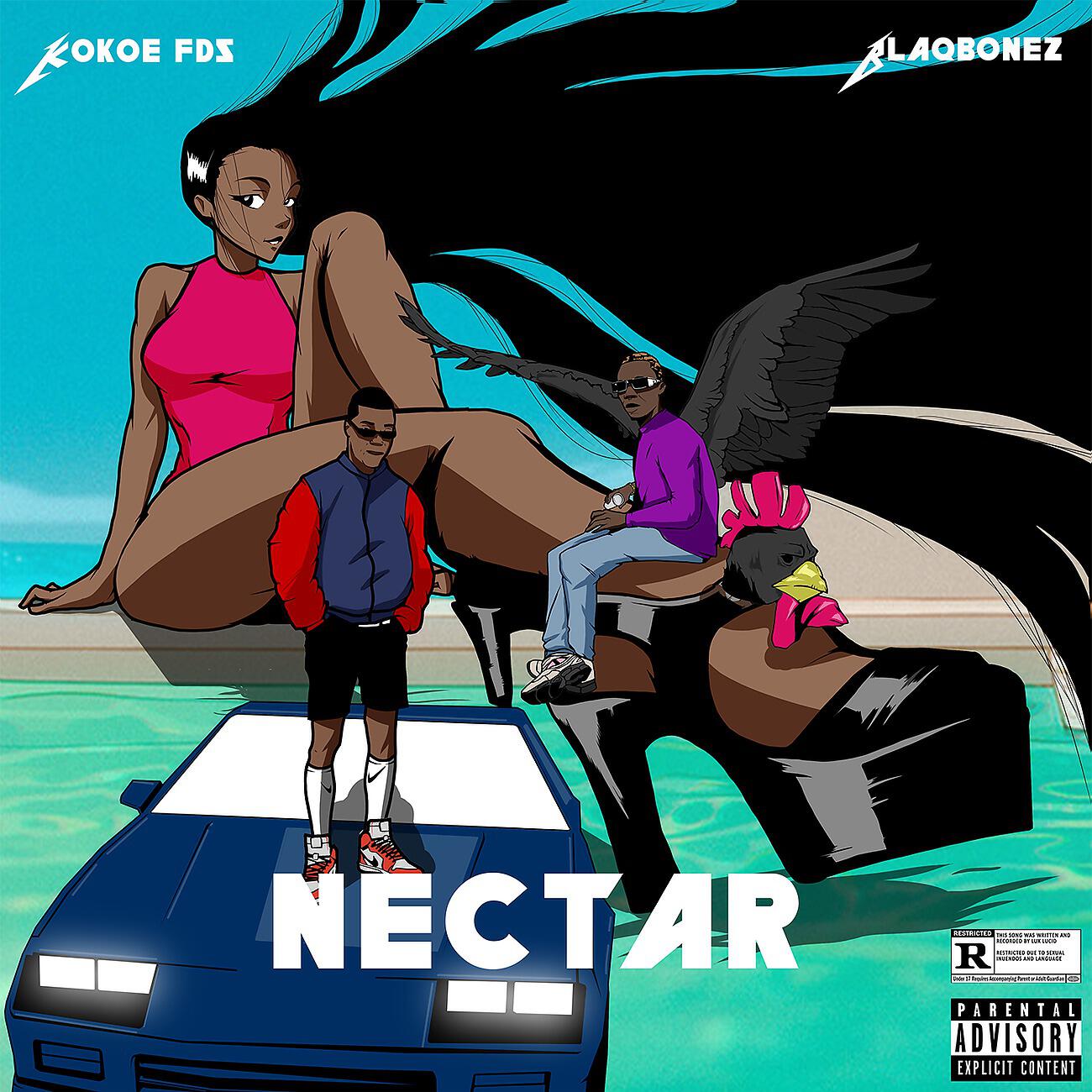 Kokoe fds - Nectar