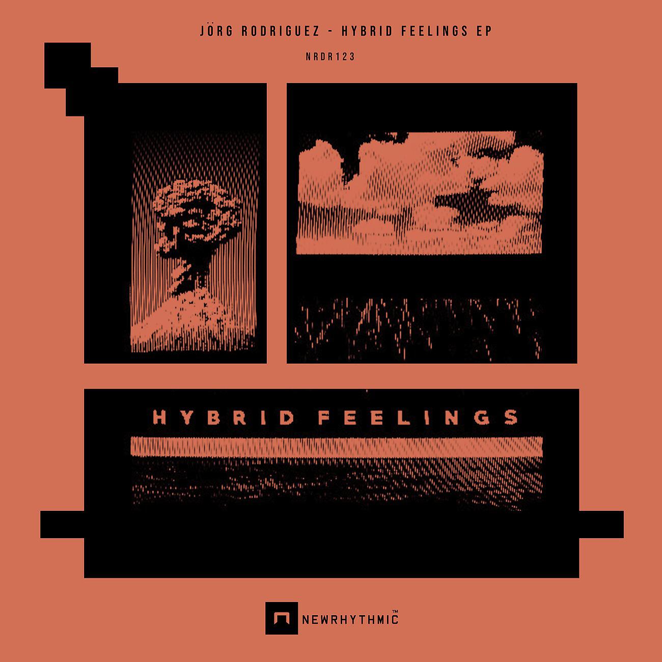 Jorg Rodriguez - Hybrid Feelings