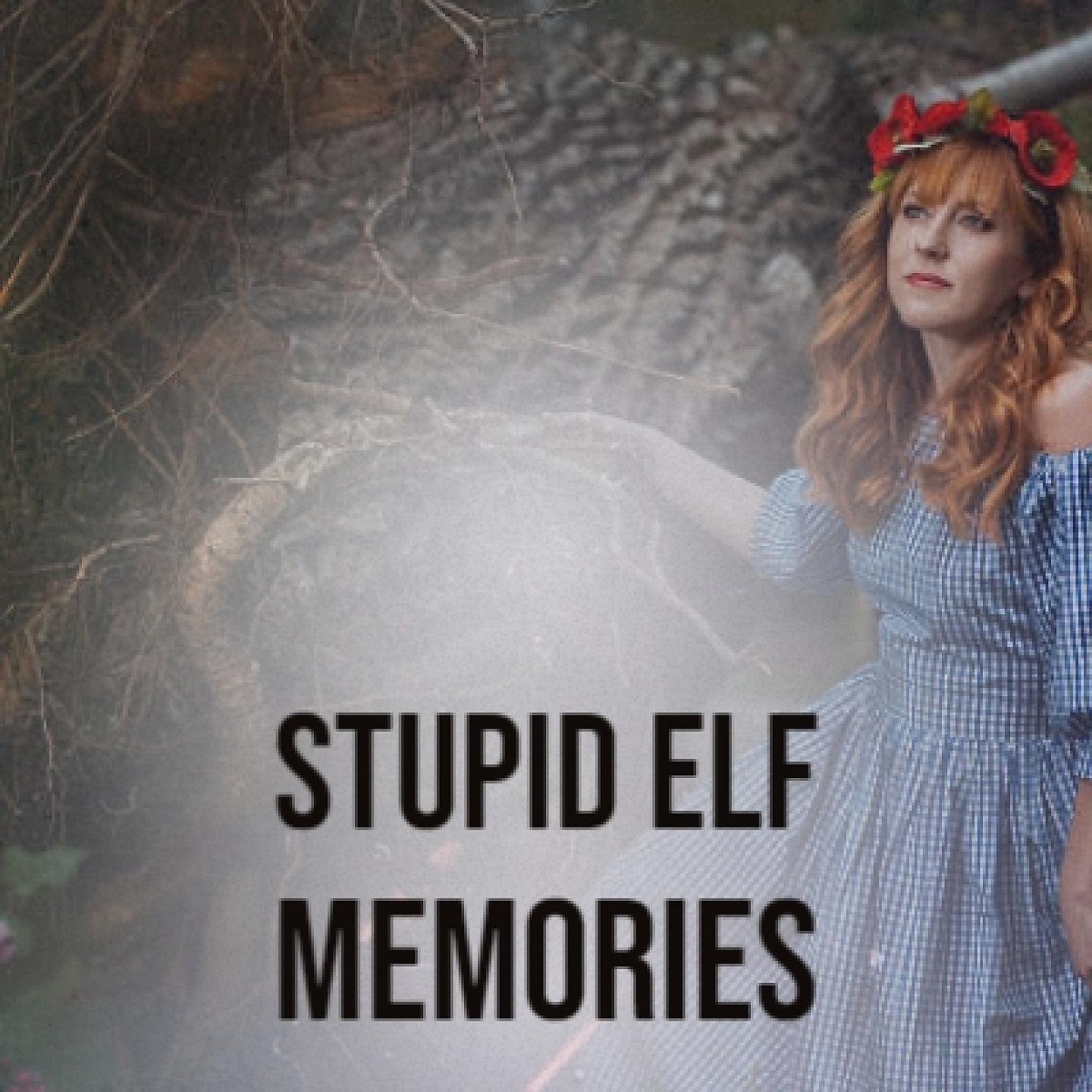 Постер альбома Stupid Elf Memories
