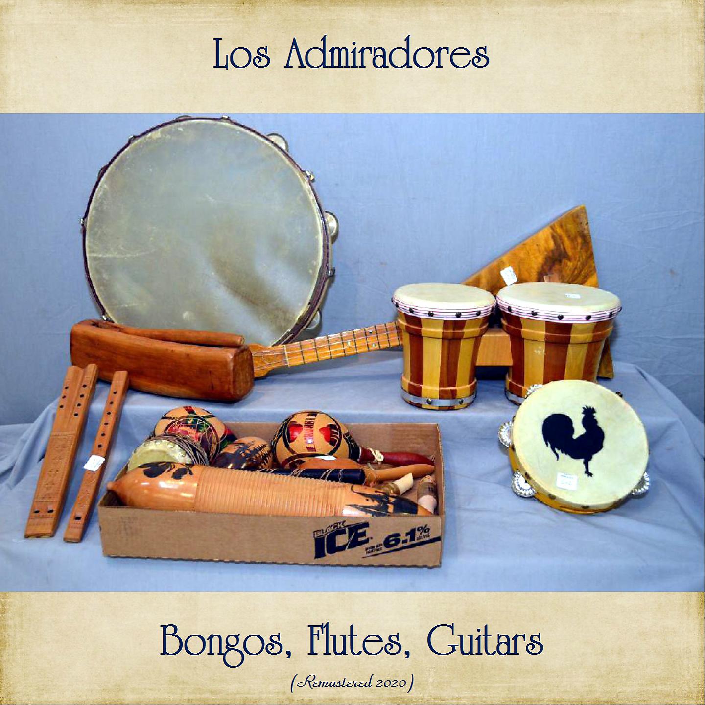 Постер альбома Bongos, Flutes, Guitars