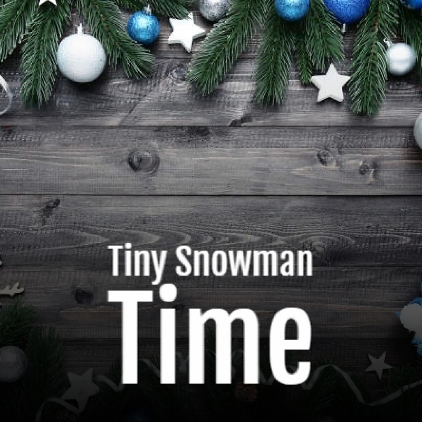 Постер альбома Tiny Snowman Time