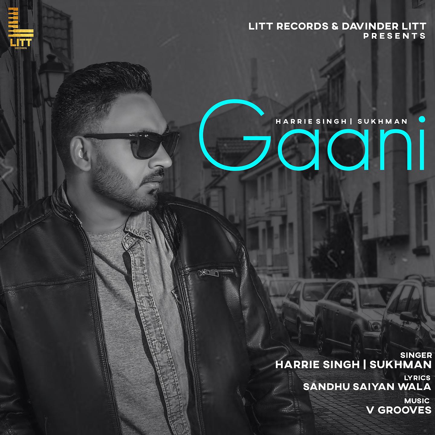 Постер альбома Gaani