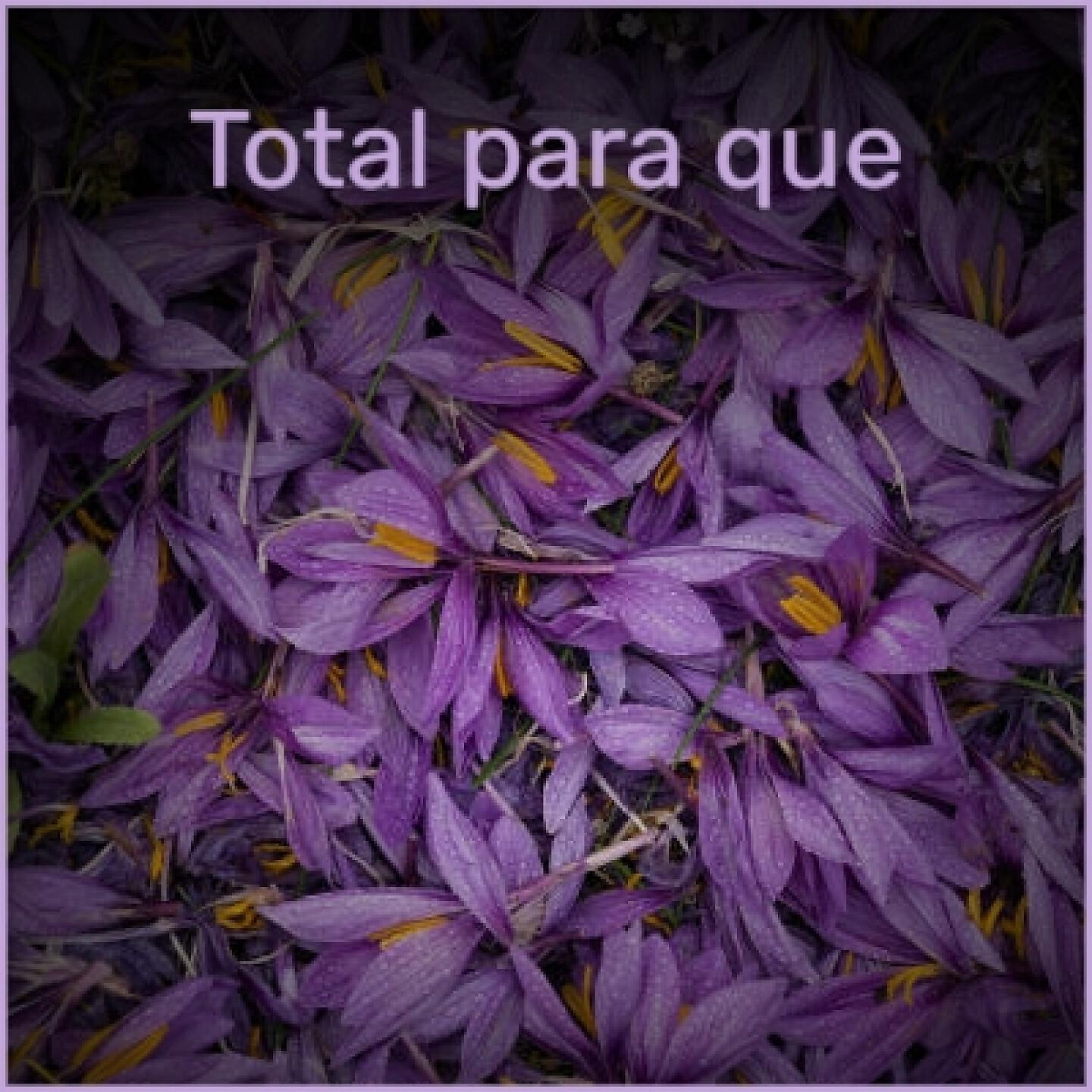 Enrique Rodriguez - Adios, Adios Amor