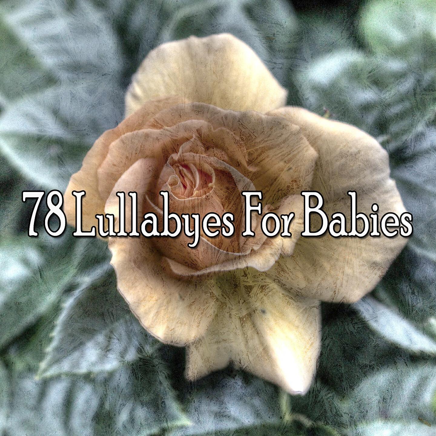 Smart Baby Lullabies - Dream Lullaby