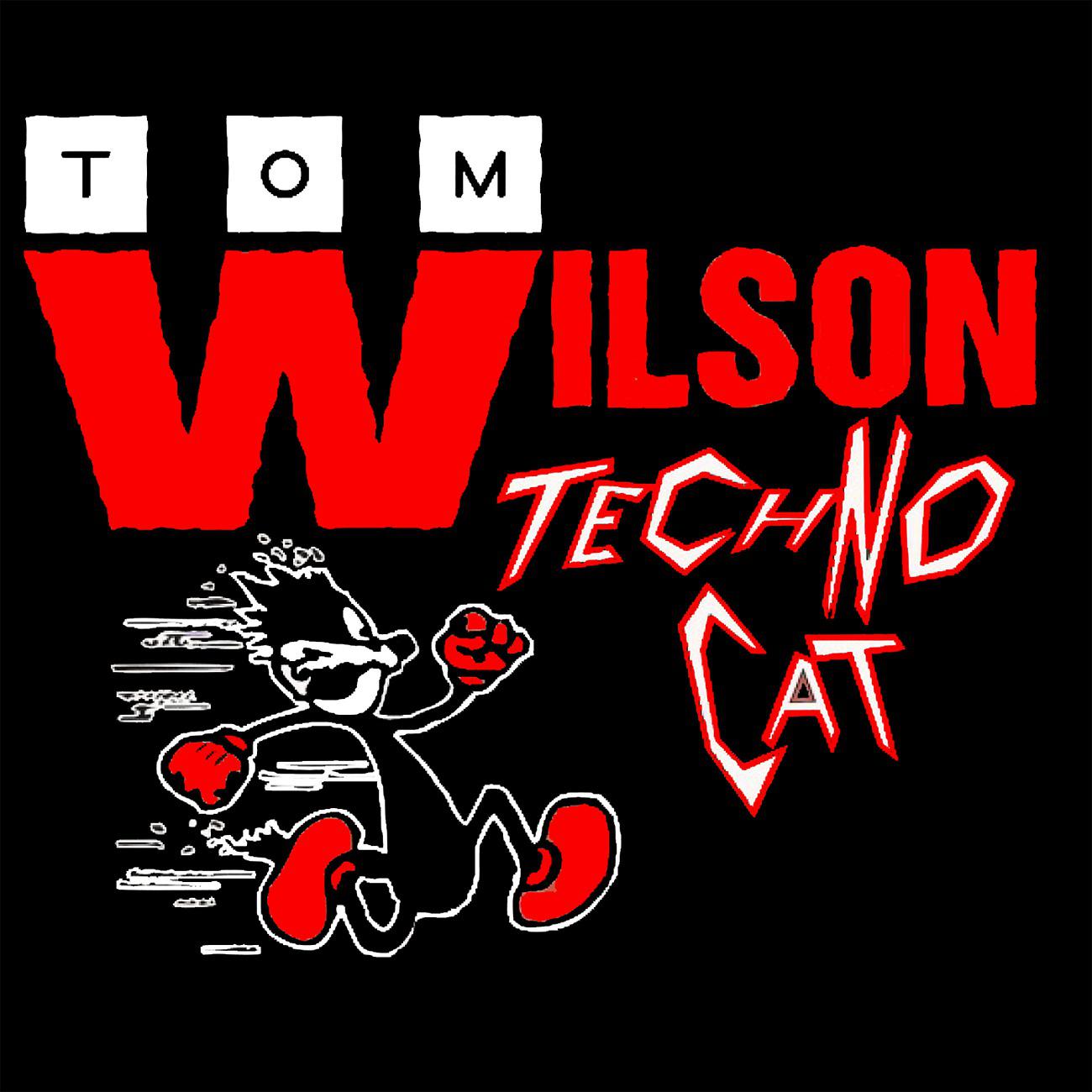 Постер альбома Technocat