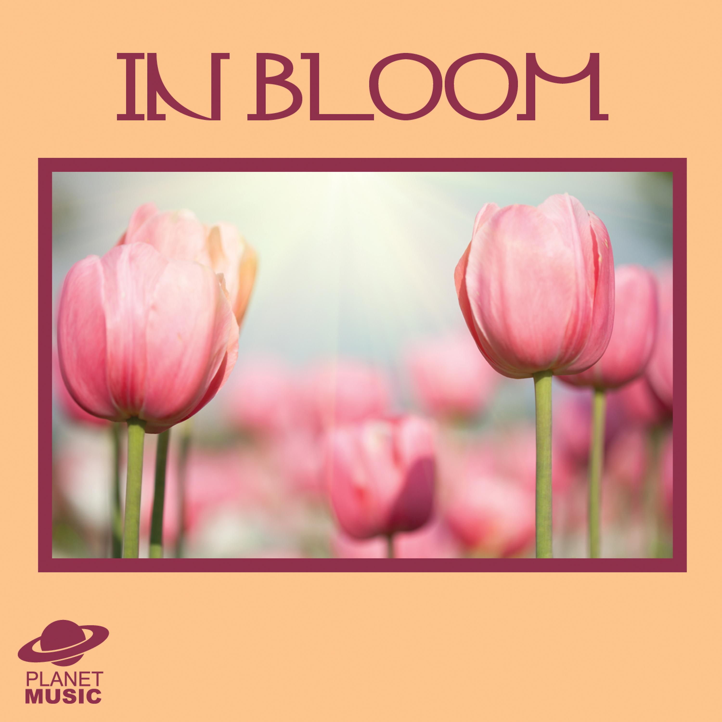 Постер альбома In Bloom