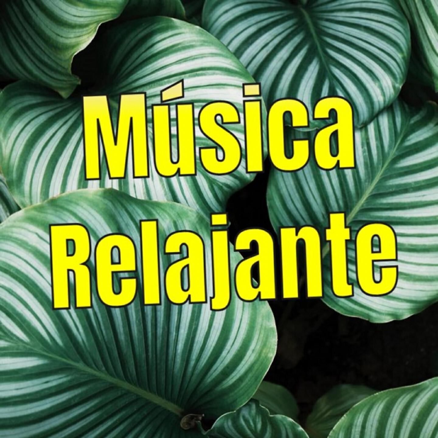 Musica Ambiental - Angus