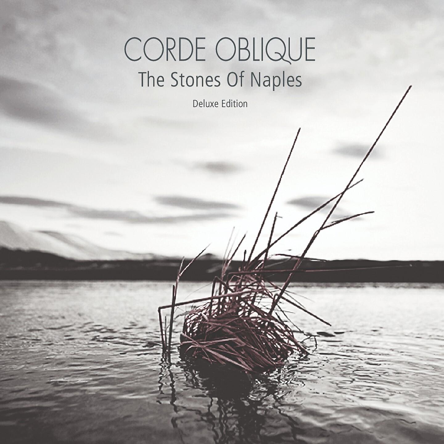 Corde Oblique - Flower Bud