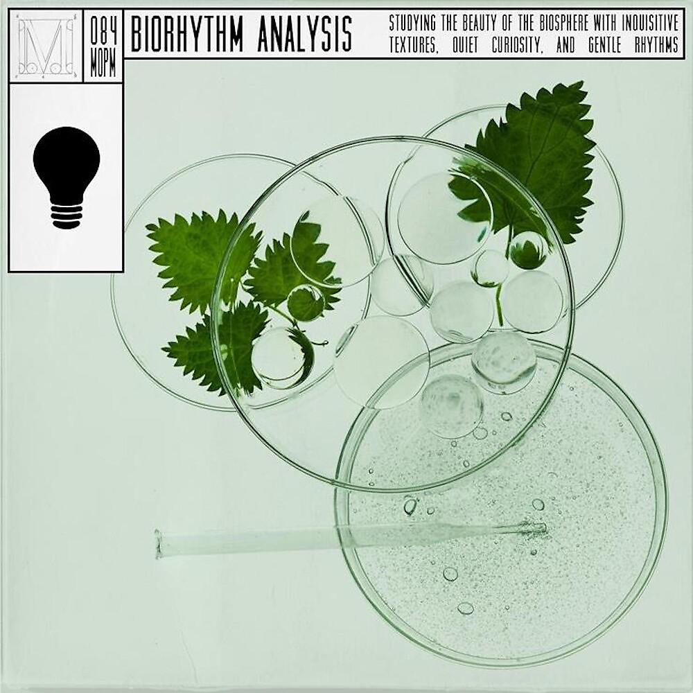 Постер альбома Biorhythm Analysis