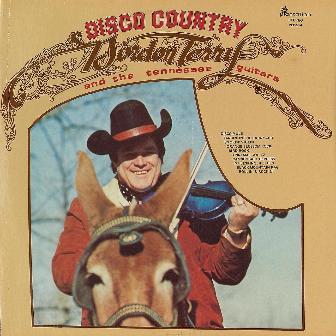 Постер альбома Disco Country