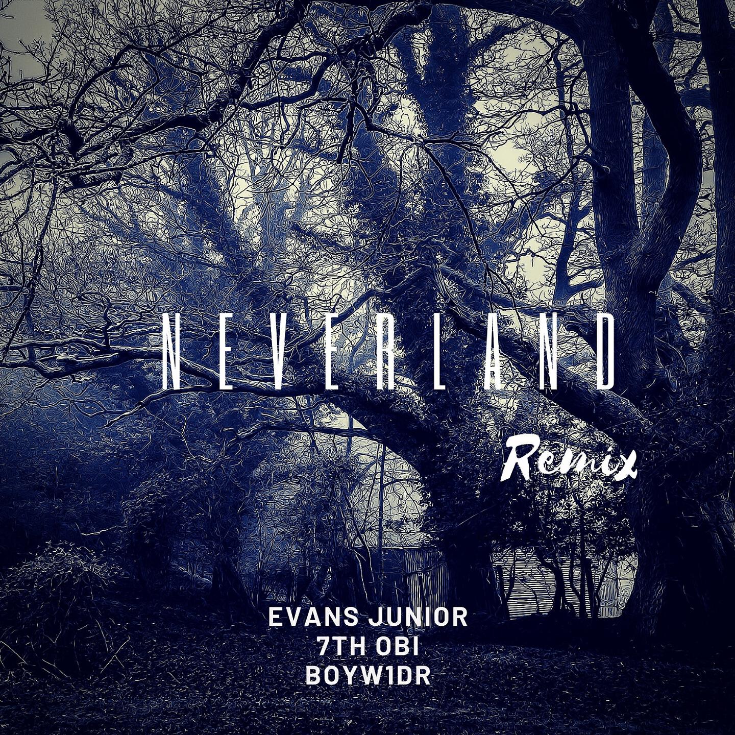 Evans Junior - Neverland (Remix)