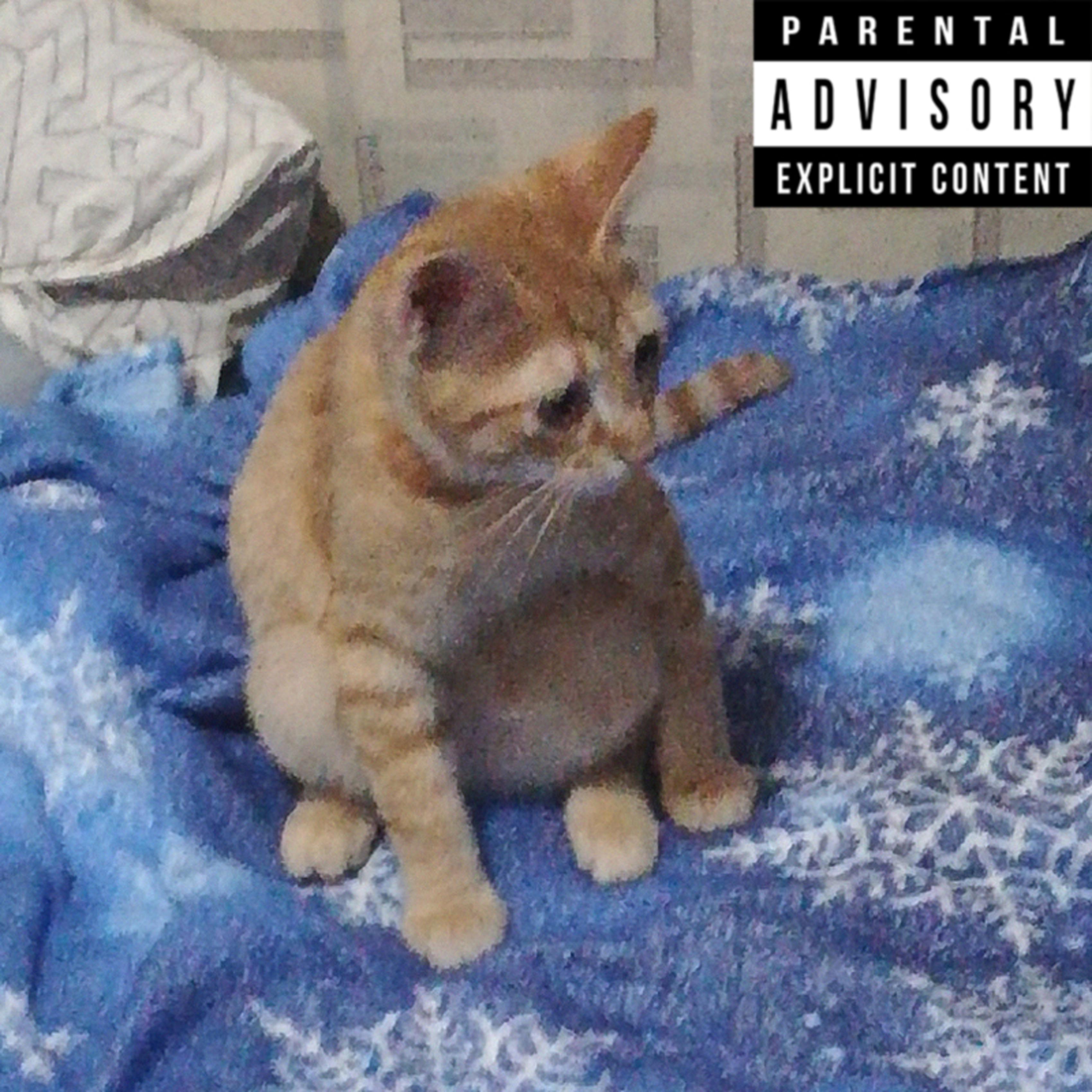 Постер альбома Мой кот - нарик