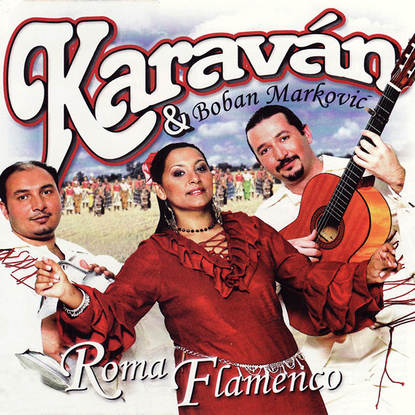Постер альбома Roma Flamenco